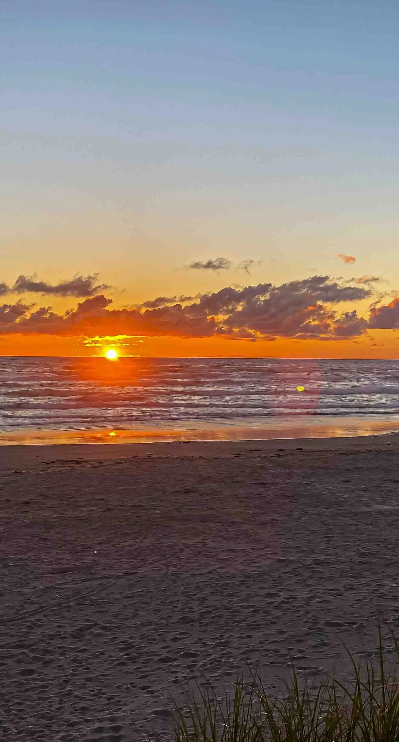 Dog friendly home close to the beach with patio BBQ and WiFi