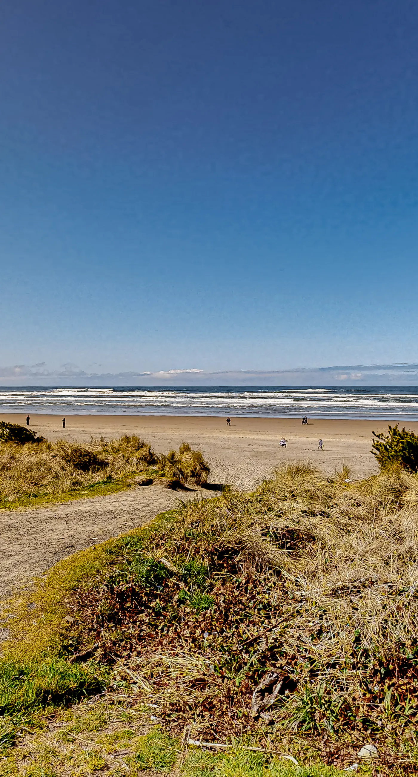 Quaint Dog Friendly Escape Near Town and Beach with Ocean Views and High Speed WiFi