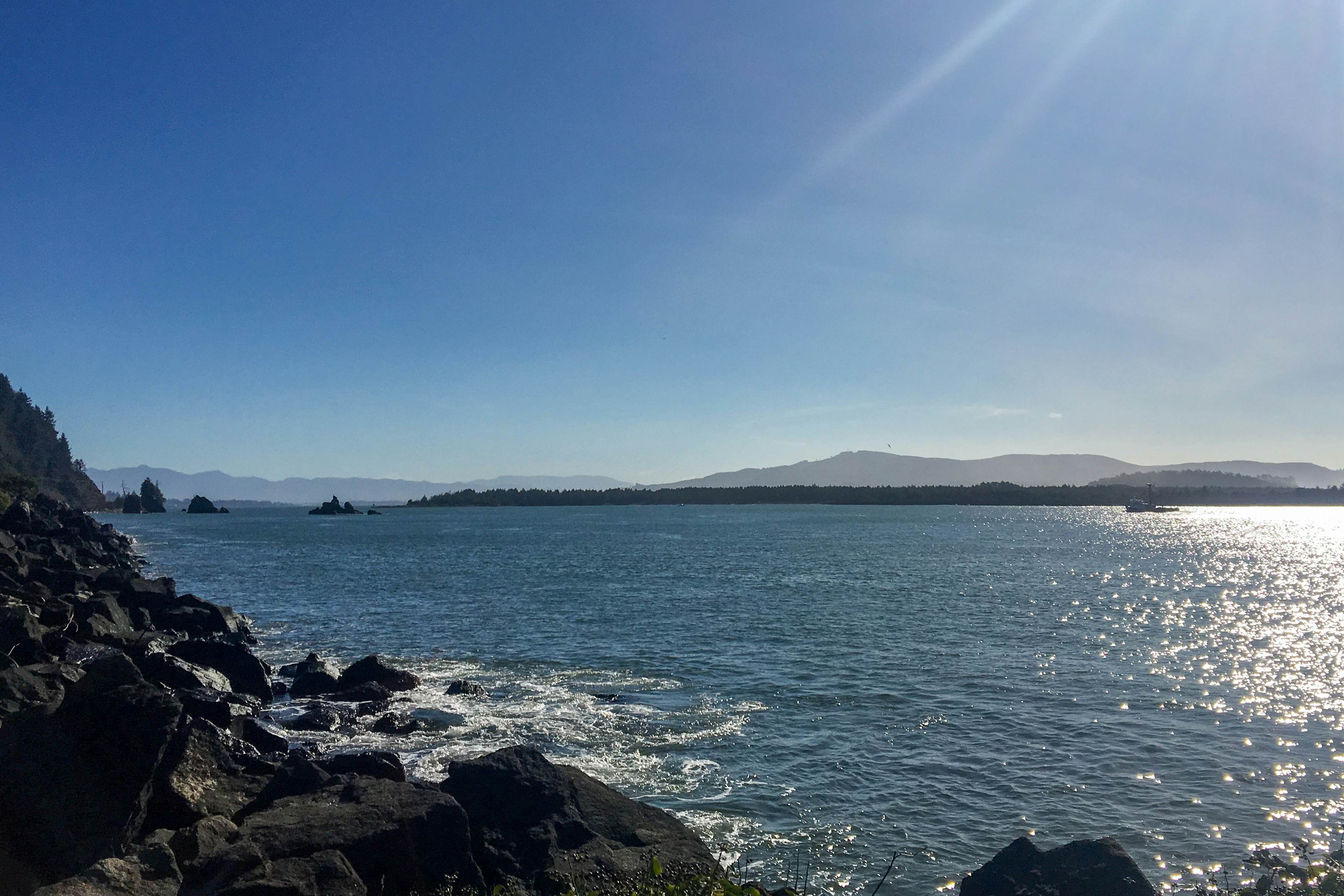 Coastal Craftsman with picture perfect bay views walk to Barview Jetty Beach