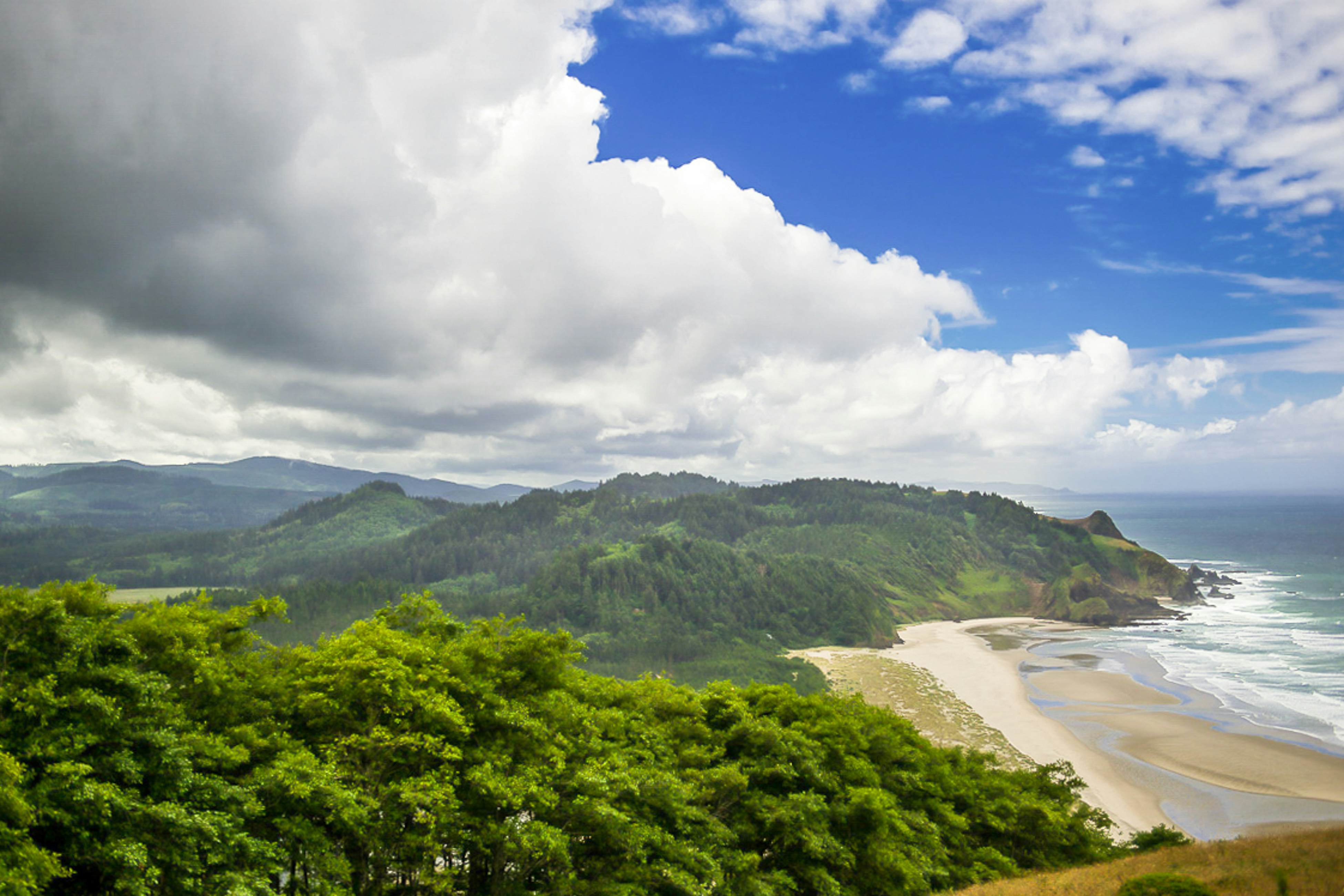 Coastal Craftsman with picture perfect bay views walk to Barview Jetty Beach