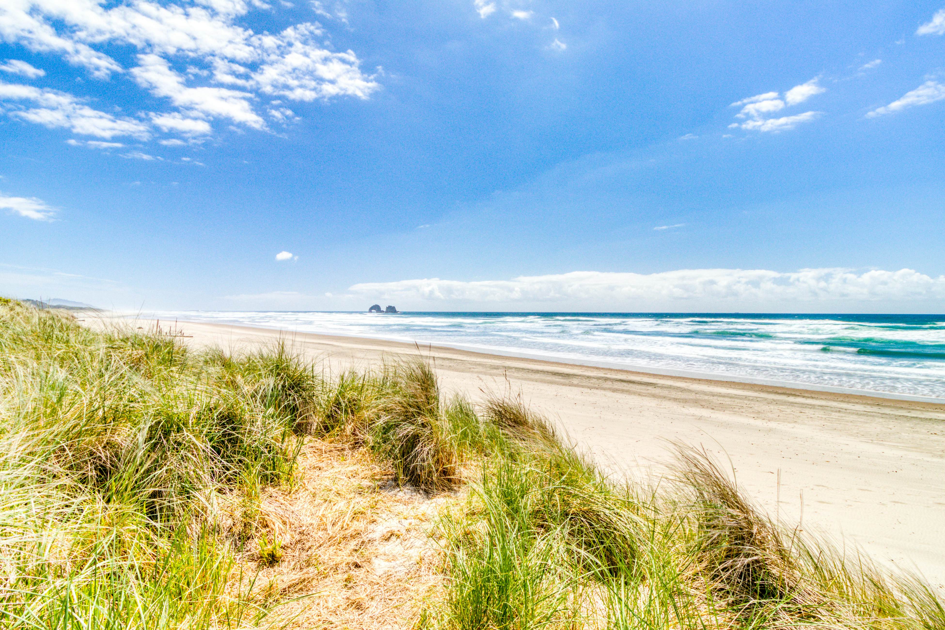 Oceanfront house with amazing views and short walk to downtown, dogs welcome