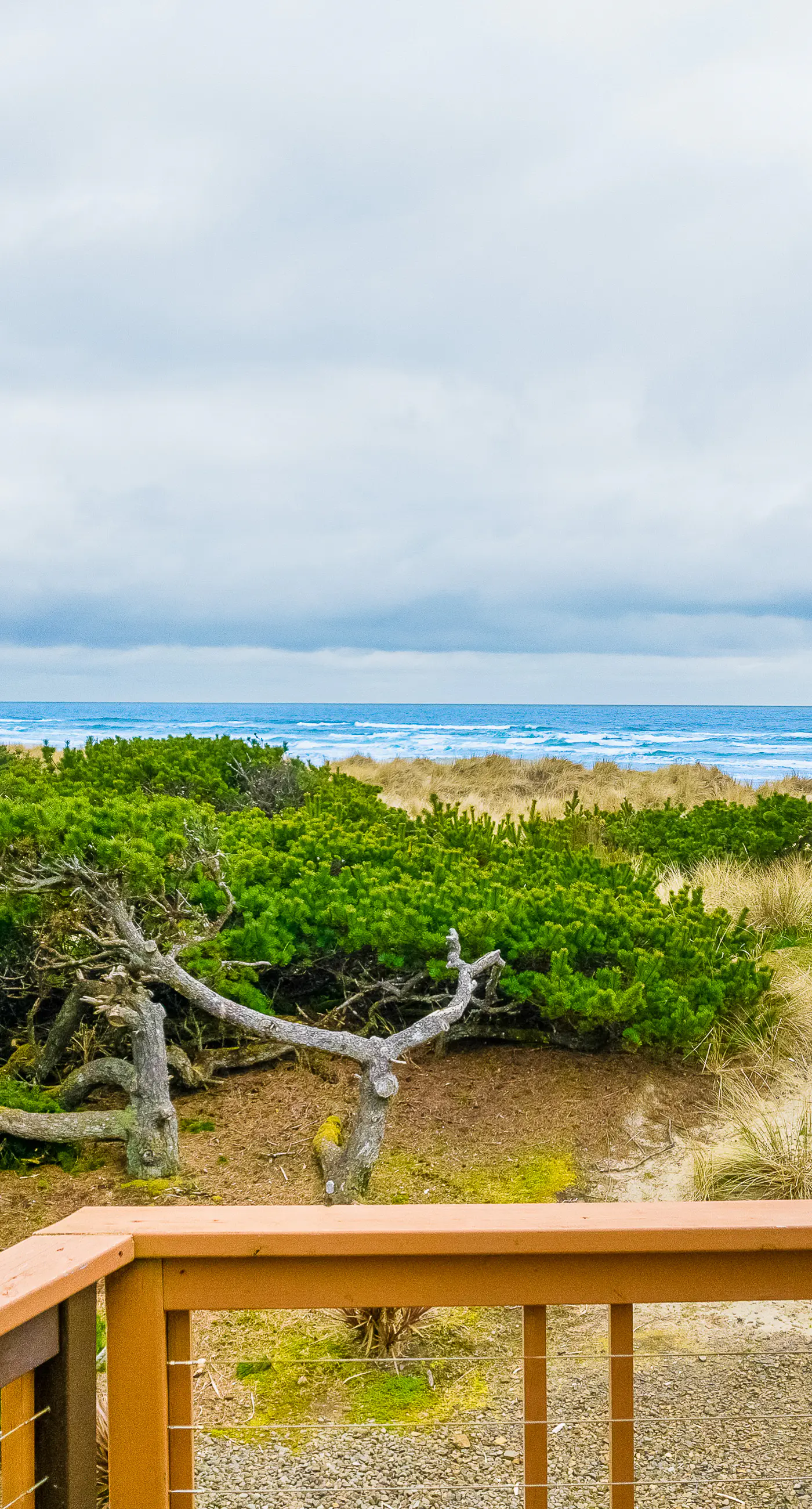 Oceanfront house with private beach access and amazing ocean views dog friendly