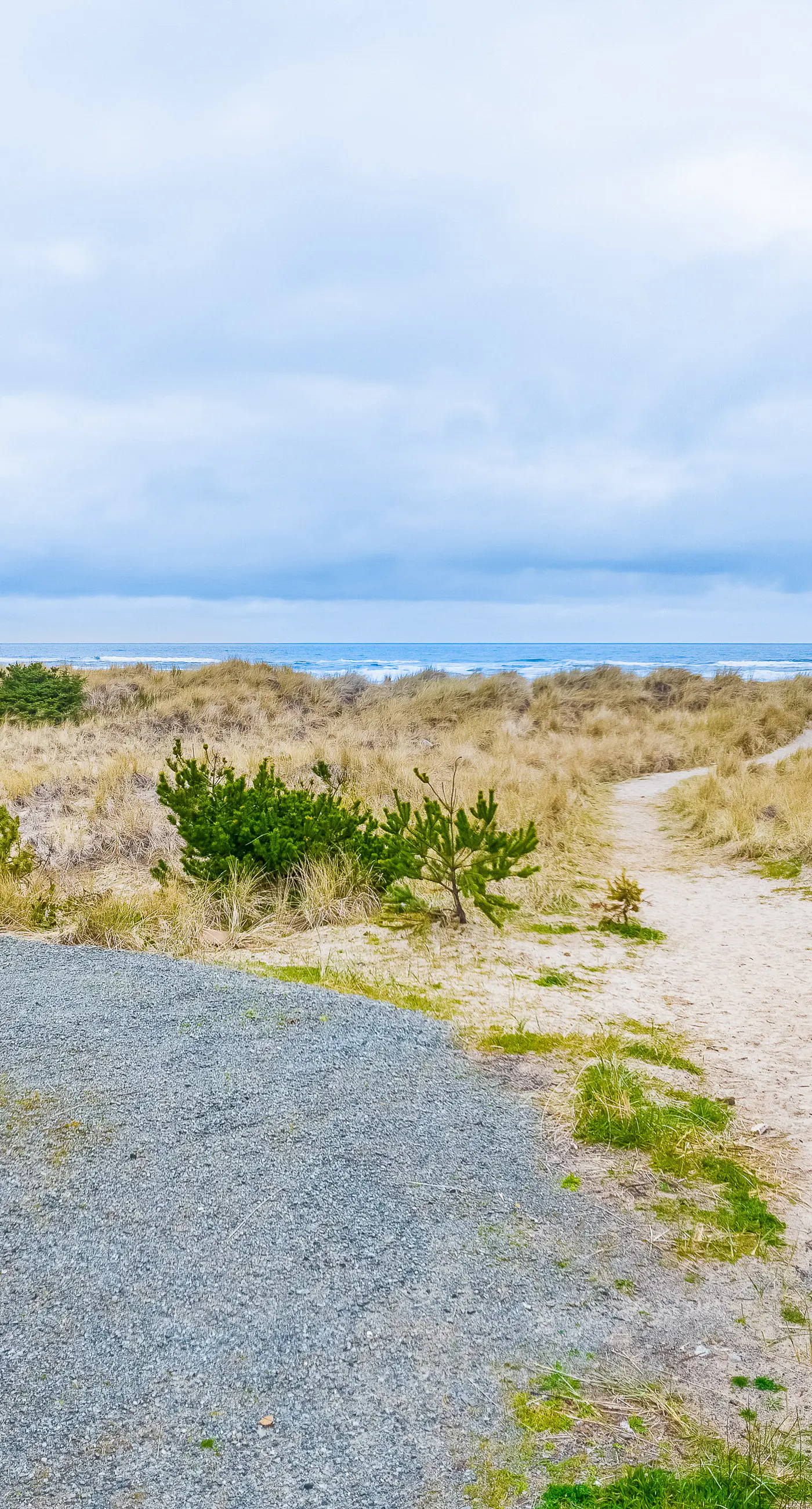 Oceanfront house with private beach access and amazing ocean views dog friendly
