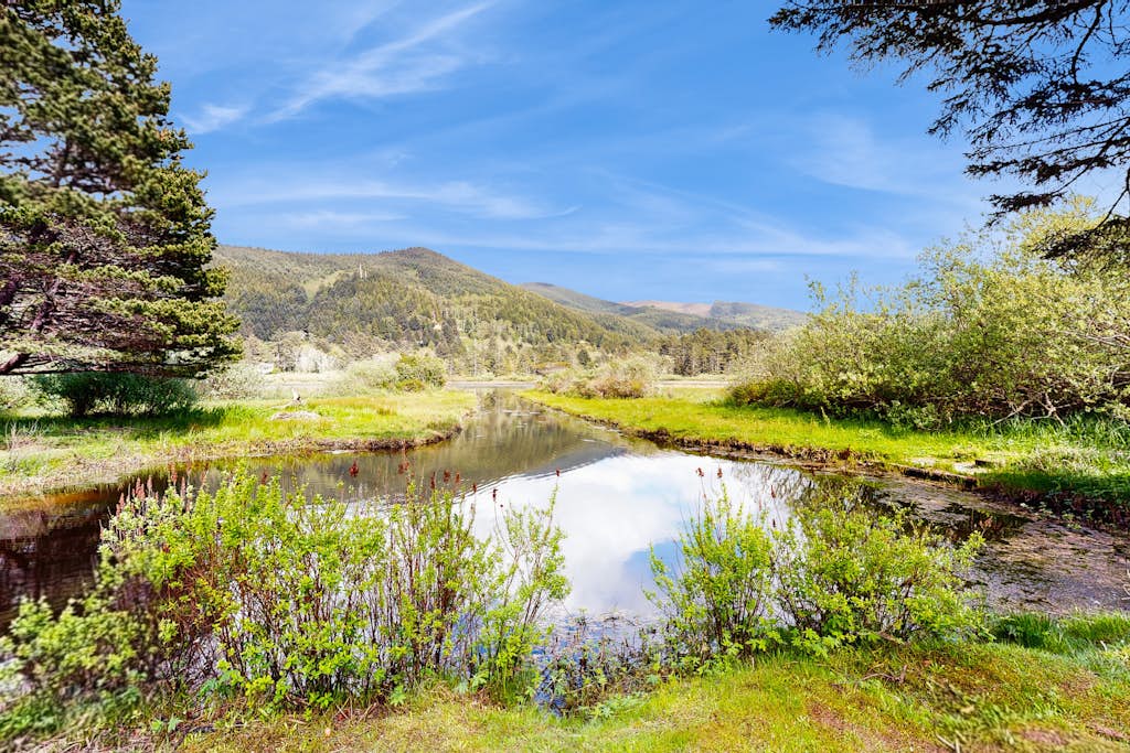 Crescent Lake Lookout