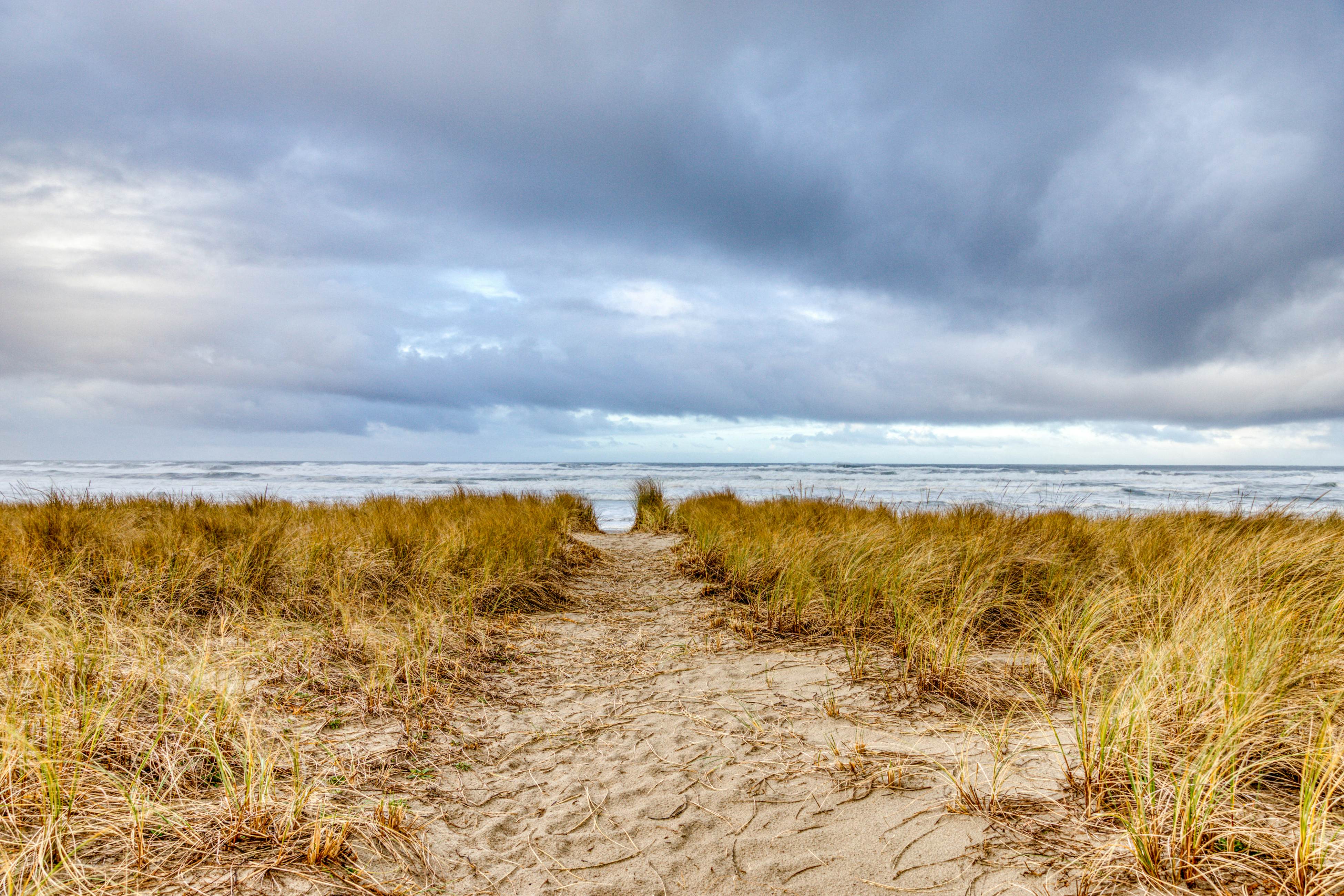 Dog-friendly oceanfront house with wood-burning fireplace, deck & beach access