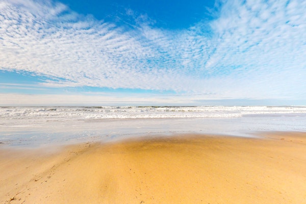 Oceanfront Home with Great Ocean View Deck Fireplace Beach Access 2 Dogs OK