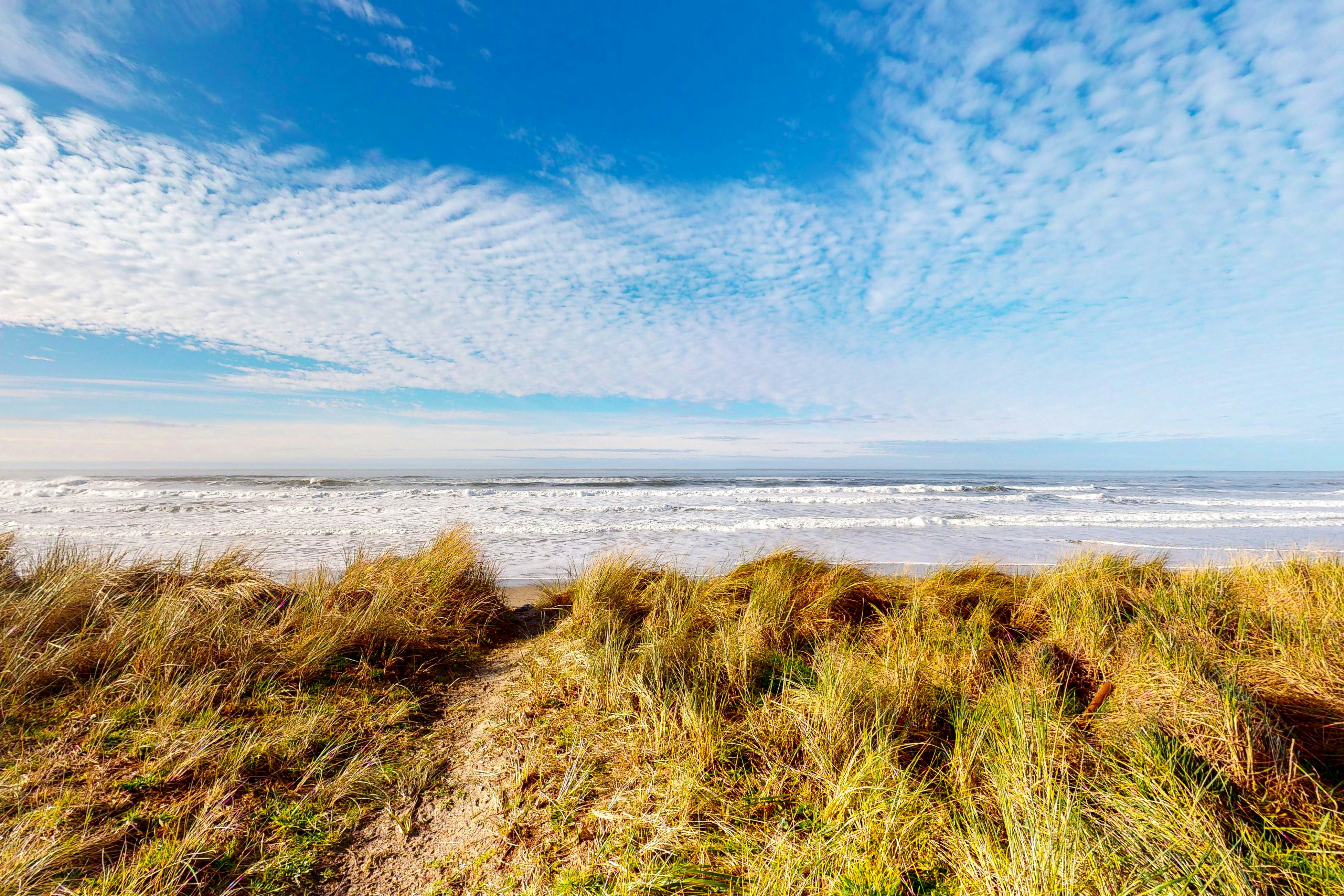 Oceanfront Home with Great Ocean View Deck Fireplace Beach Access 2 Dogs OK
