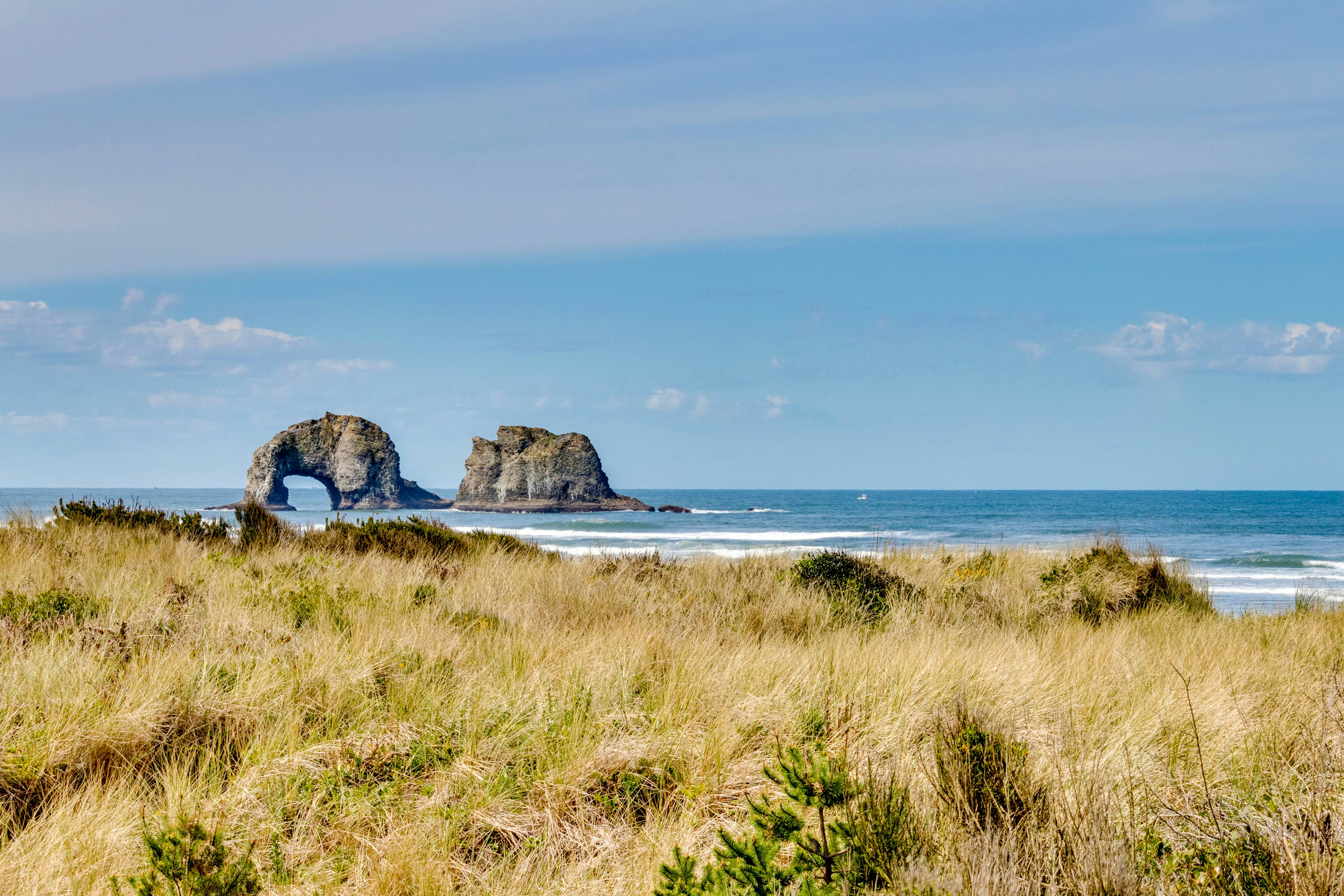 Dog-Friendly Waterfront Condo with Ocean Views - Moments From the Beach & Town