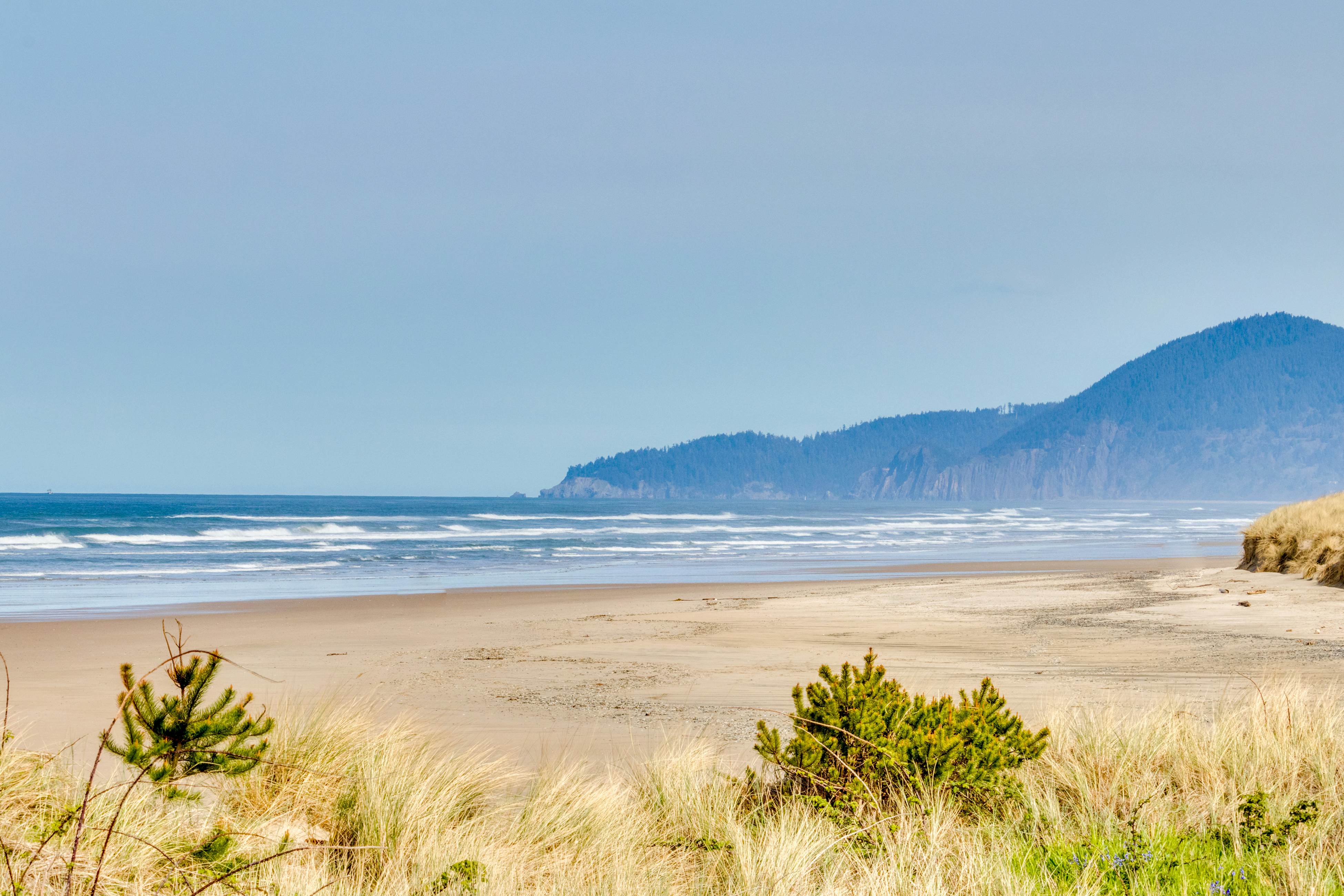 Dog-Friendly Waterfront Condo with Ocean Views - Moments From the Beach & Town