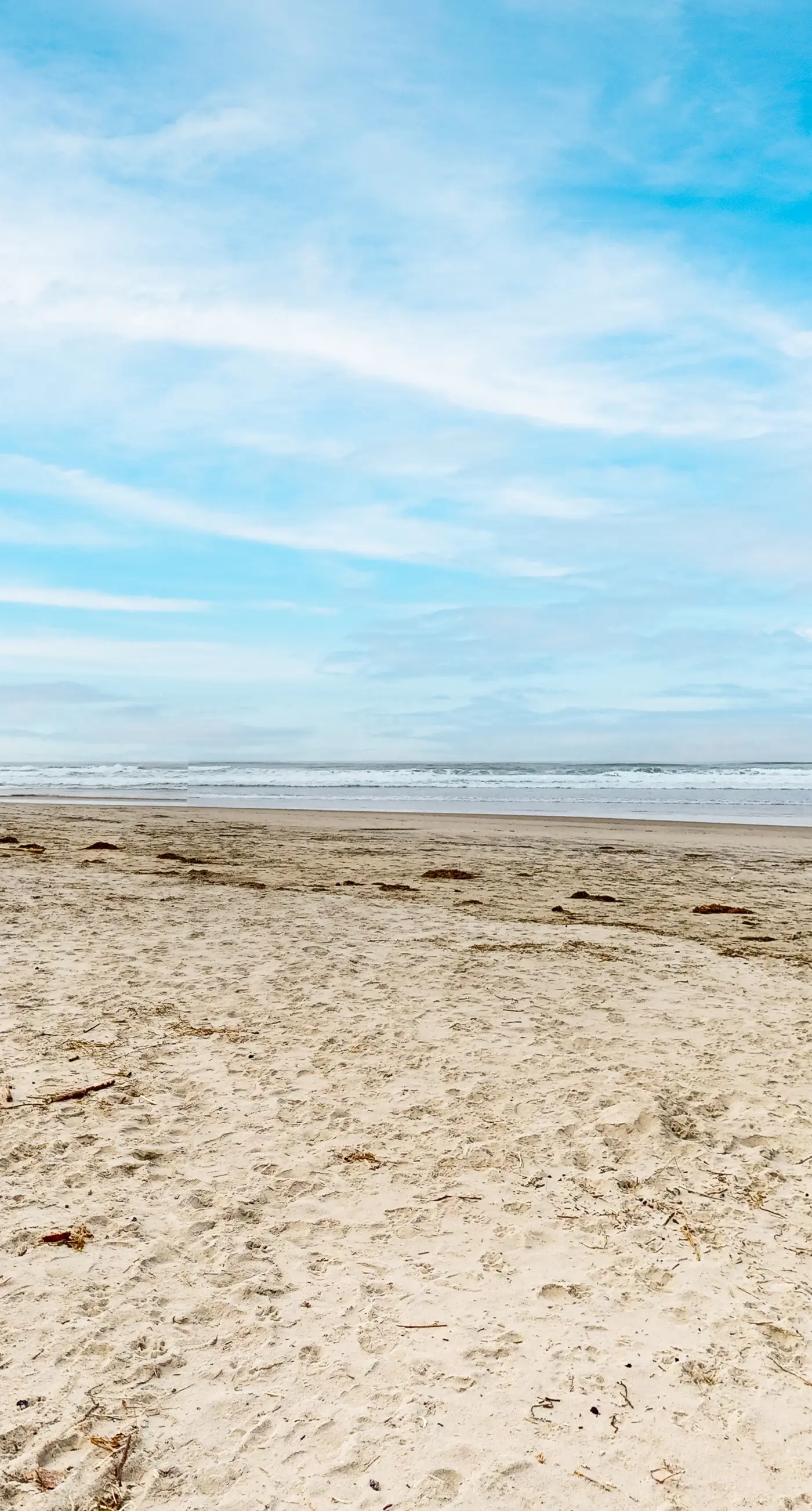 Dog Friendly Waterfront Condo with Ocean Views and Nearby Beach Access