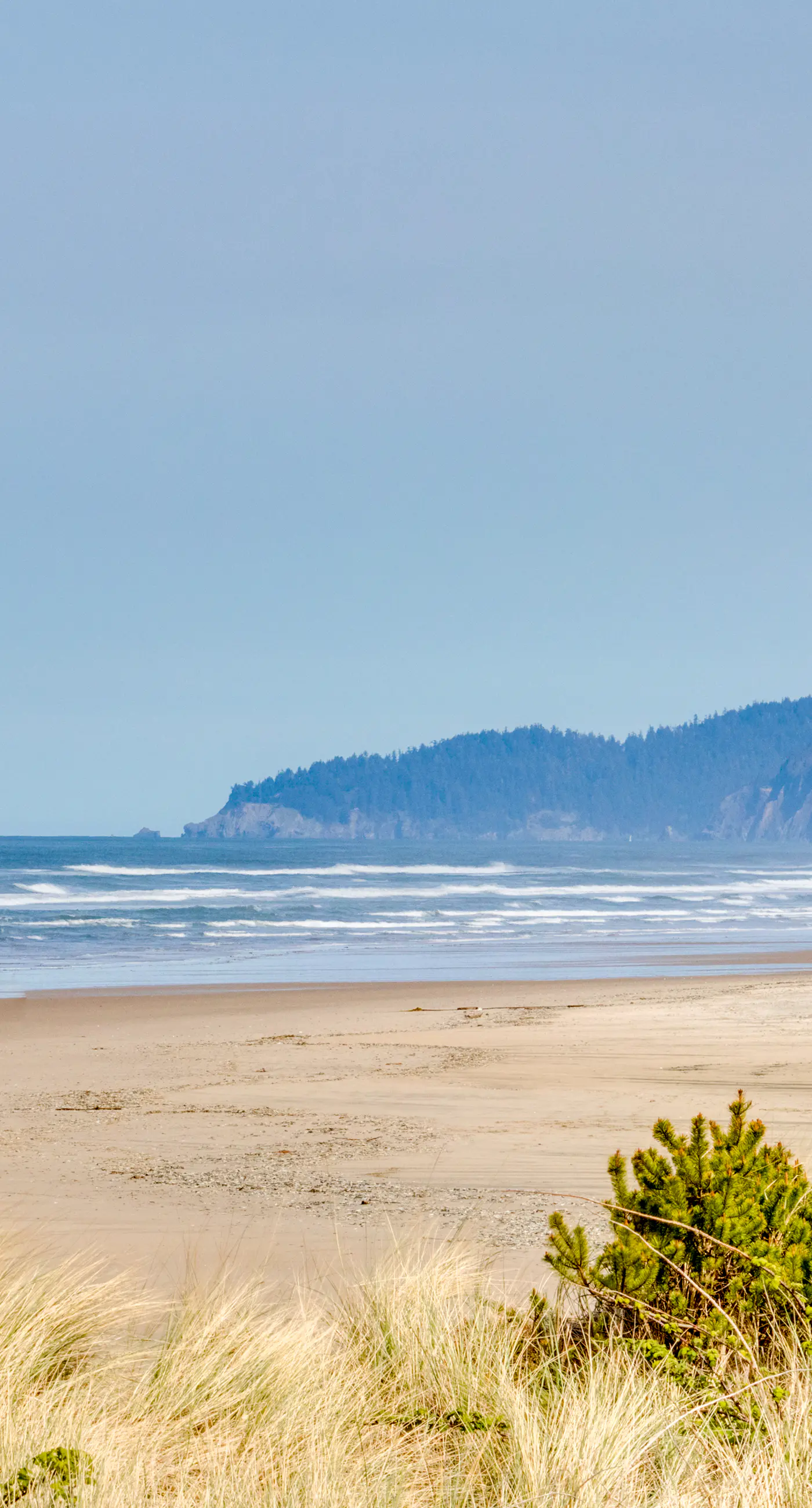 Dog Friendly Waterfront Condo with Ocean Views and Nearby Beach Access