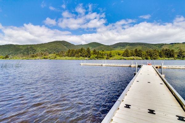 Dog friendly house with ocean view and entertainment walk to beach