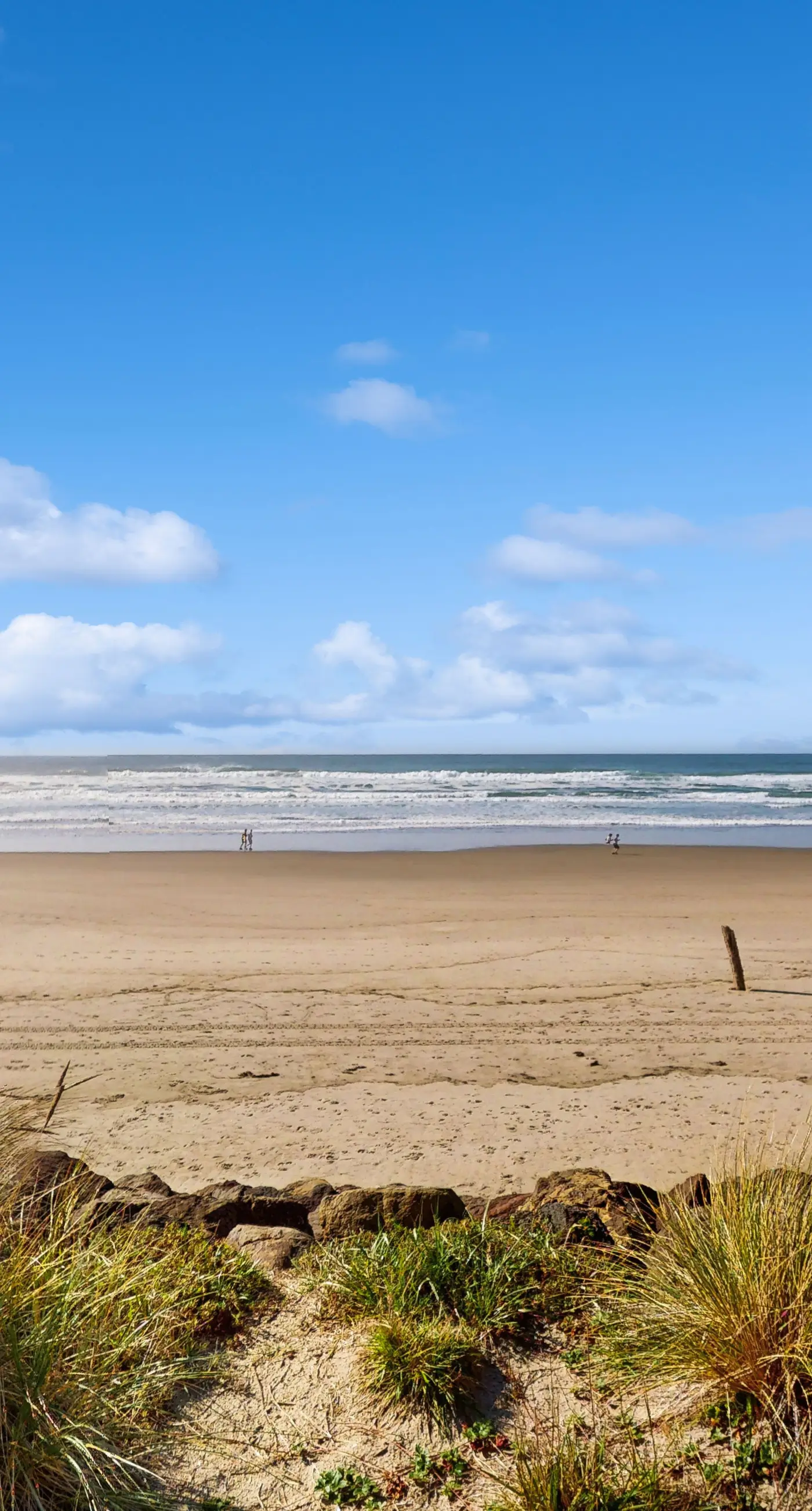Dog friendly oceanfront house with sweeping ocean views and wood burning fireplace