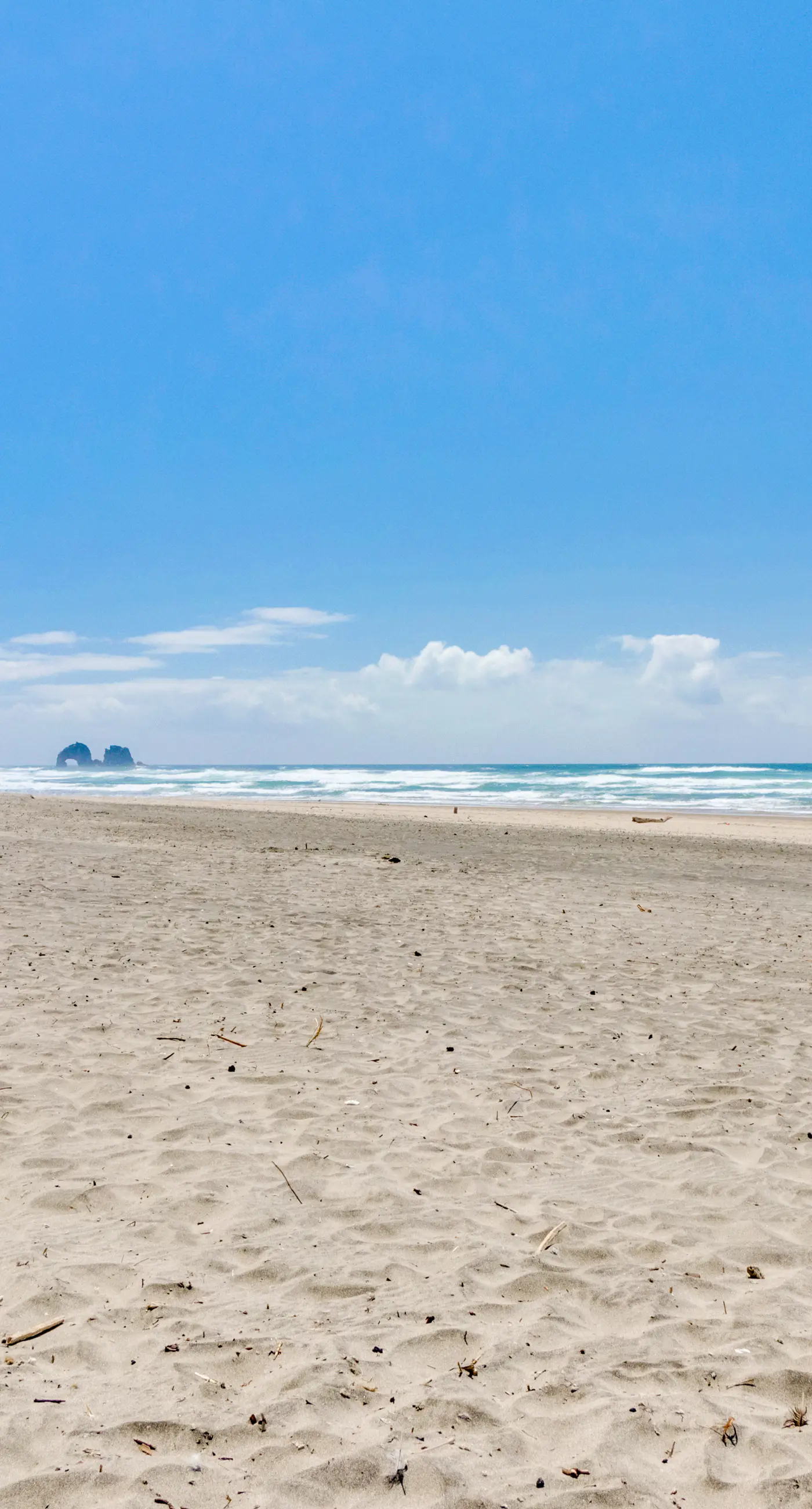 Dog friendly oceanfront house with sweeping ocean views and wood burning fireplace