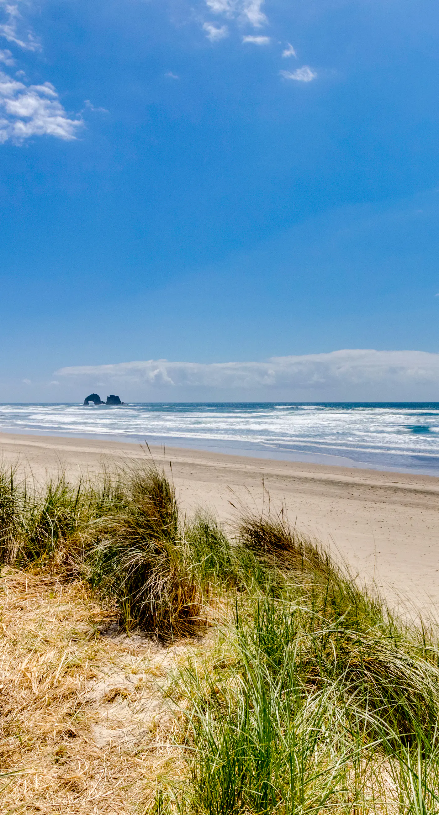 Dog friendly oceanfront house with sweeping ocean views and wood burning fireplace