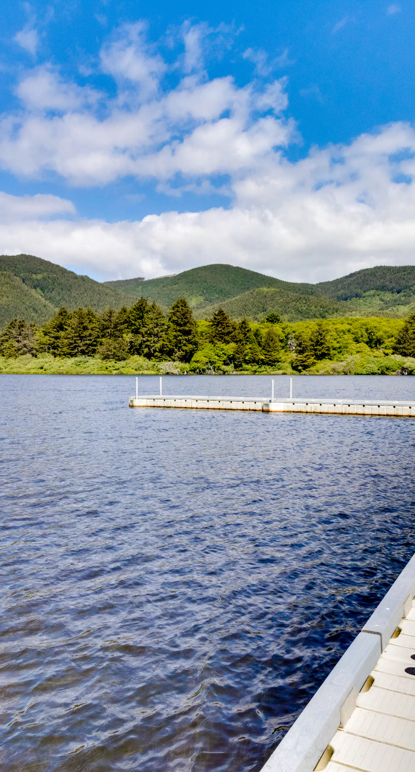 Dog friendly oceanfront house with sweeping ocean views and wood burning fireplace