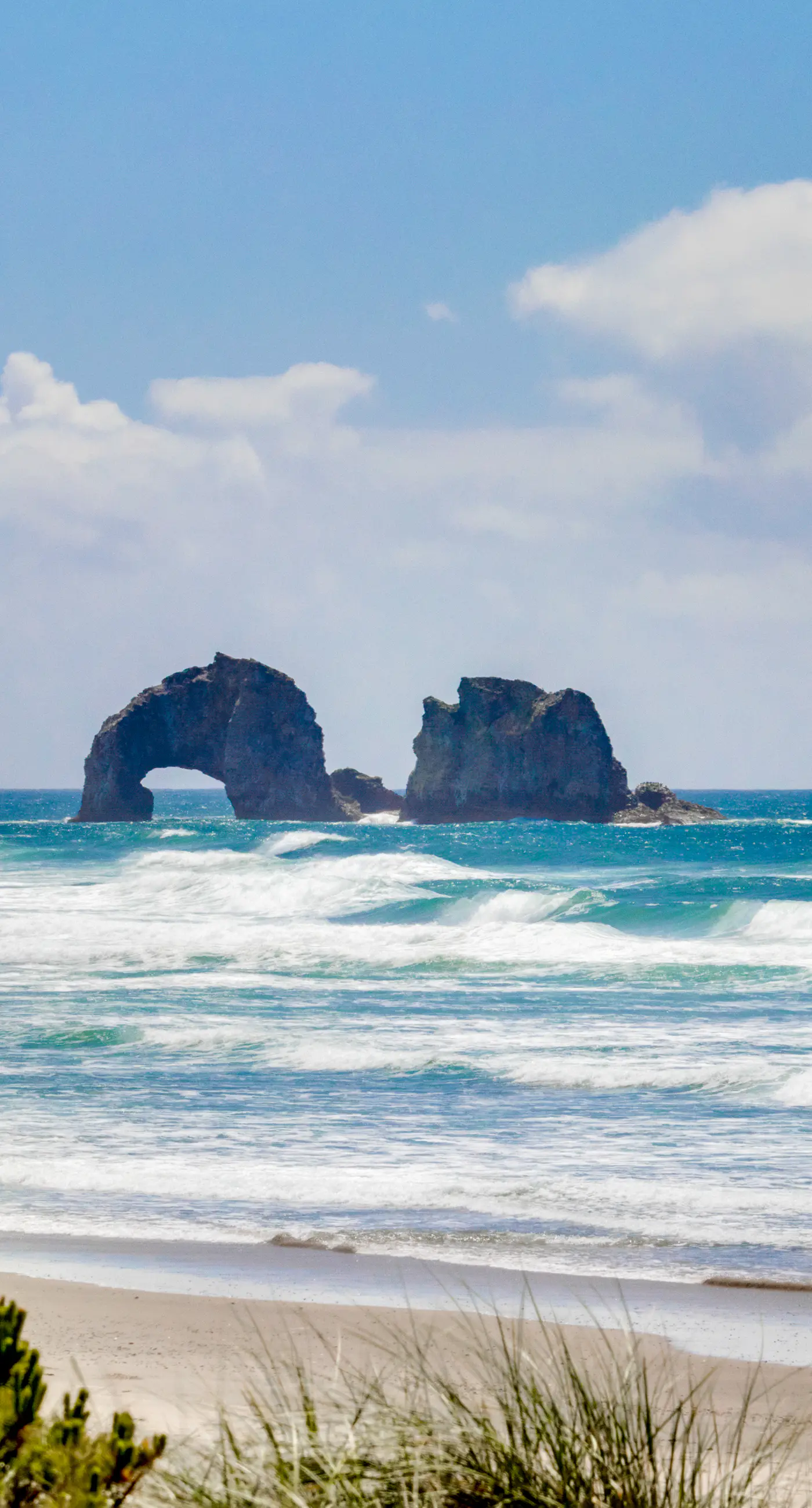 Dog Friendly Cottage with Private Hot Tub Close to Beach and Downtown