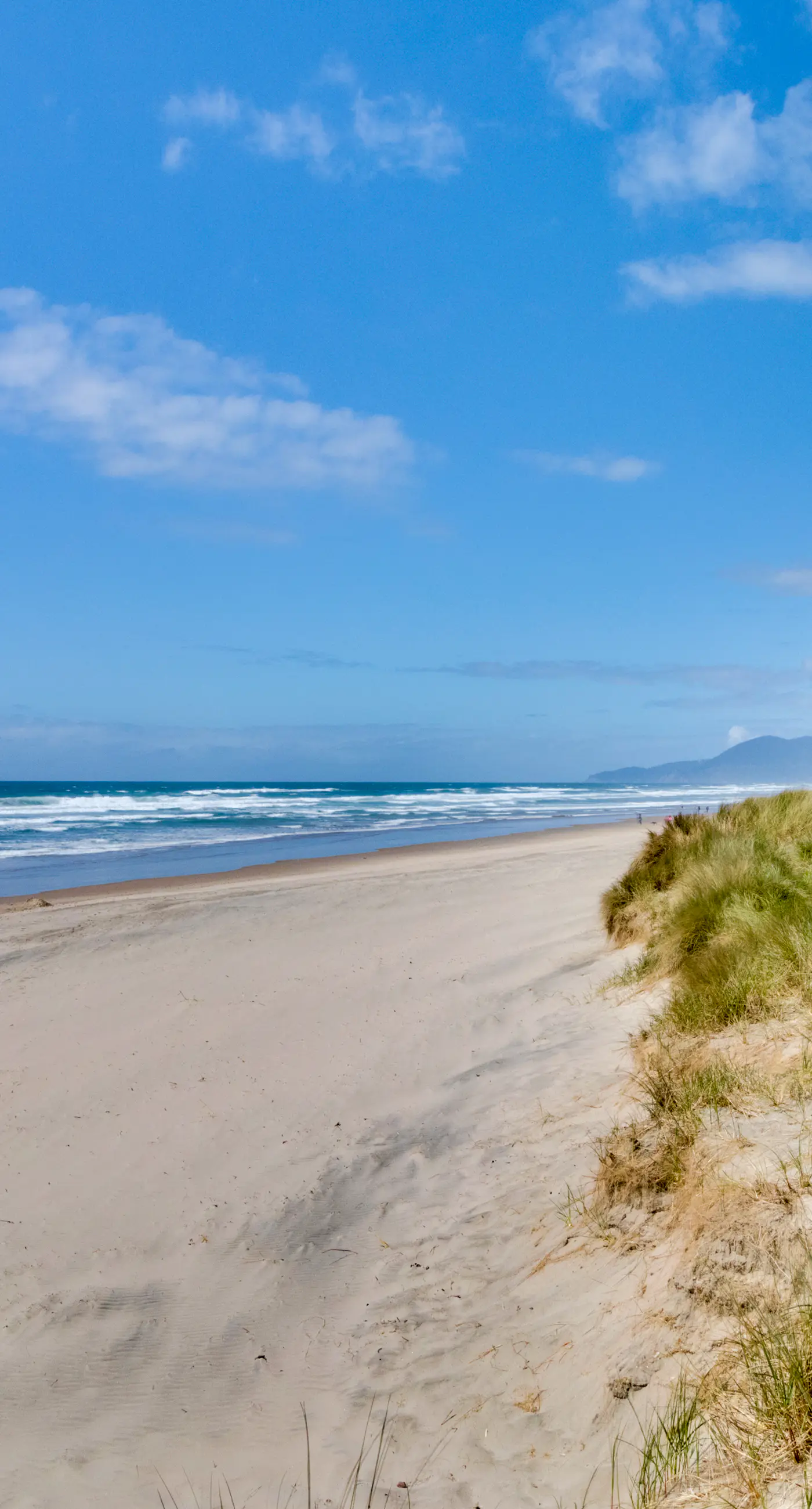 Dog Friendly Cottage with Private Hot Tub Close to Beach and Downtown