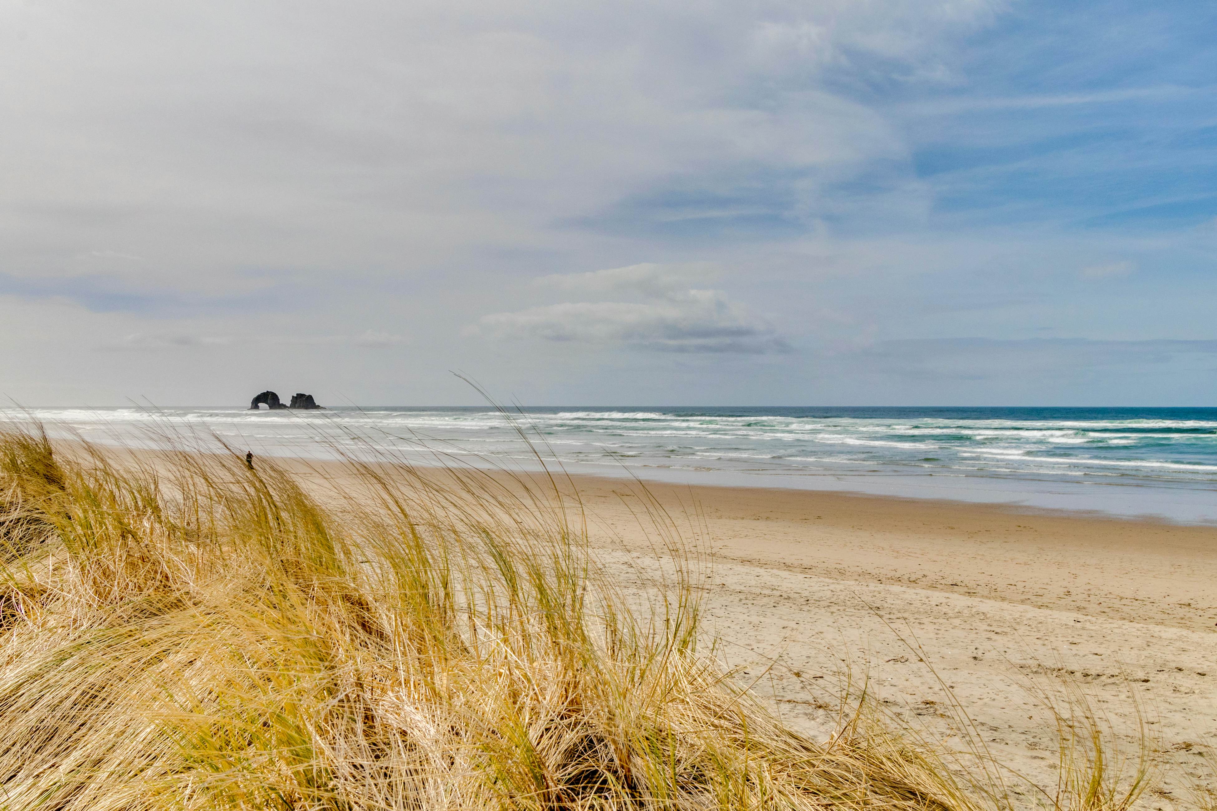 Oceanfront, dog-friendly beach house with game room & plenty of room