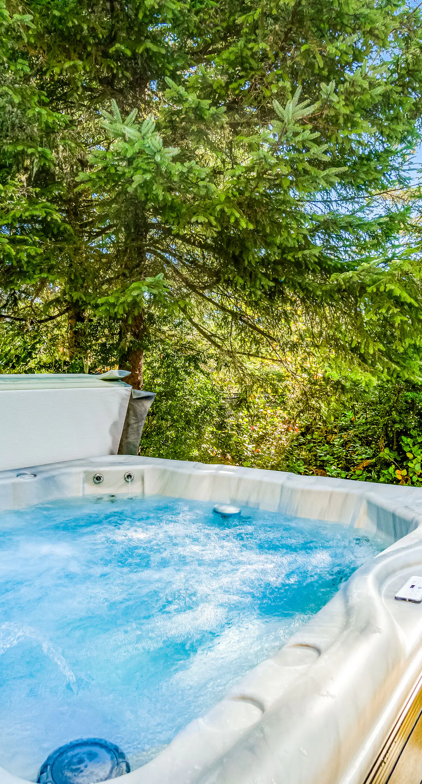 Dog friendly home near the beach with hot tub WiFi Ping Pong and foosball
