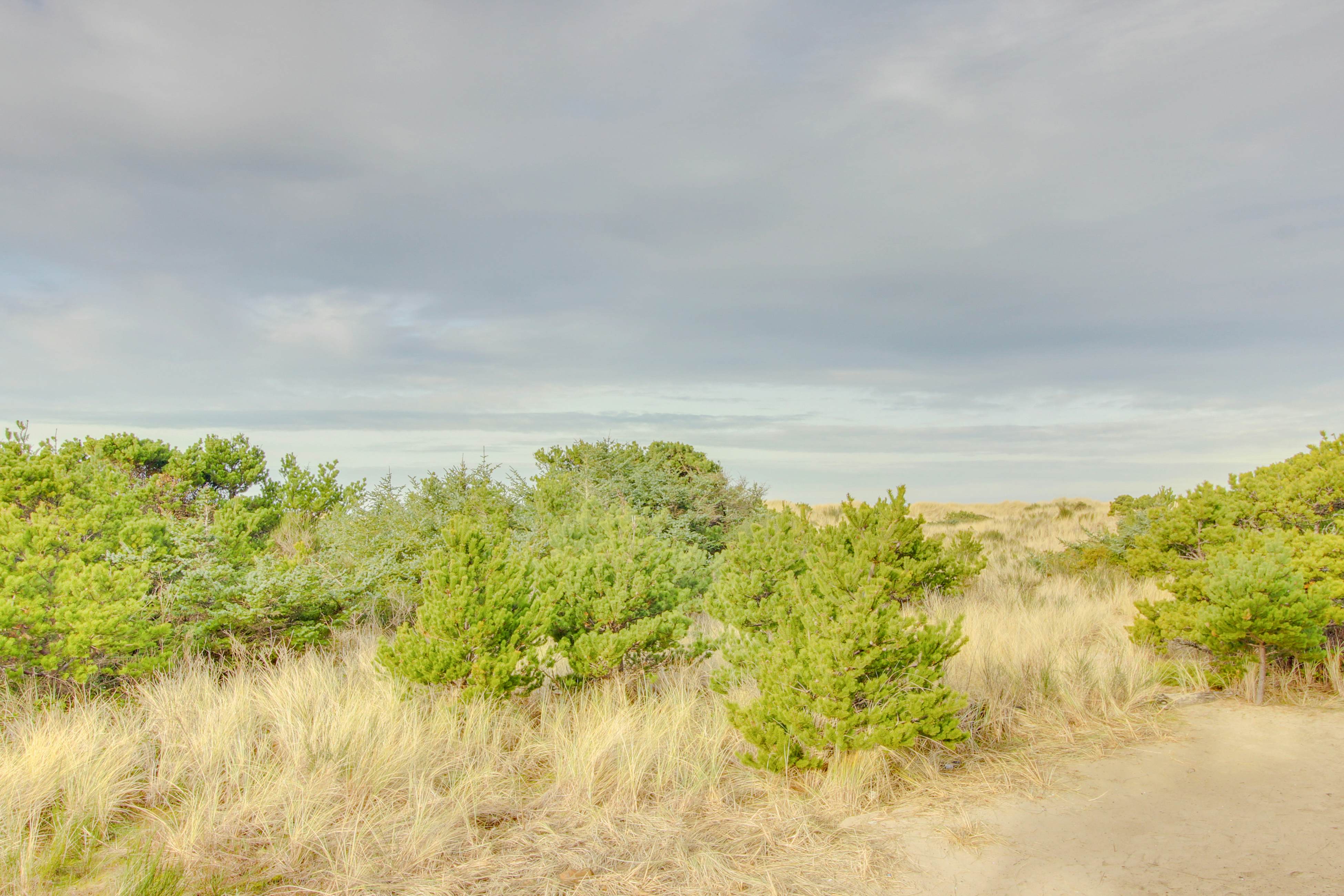 Luxurious Oceanfront House w/ Ocean Views & Beach Access - Dogs OK