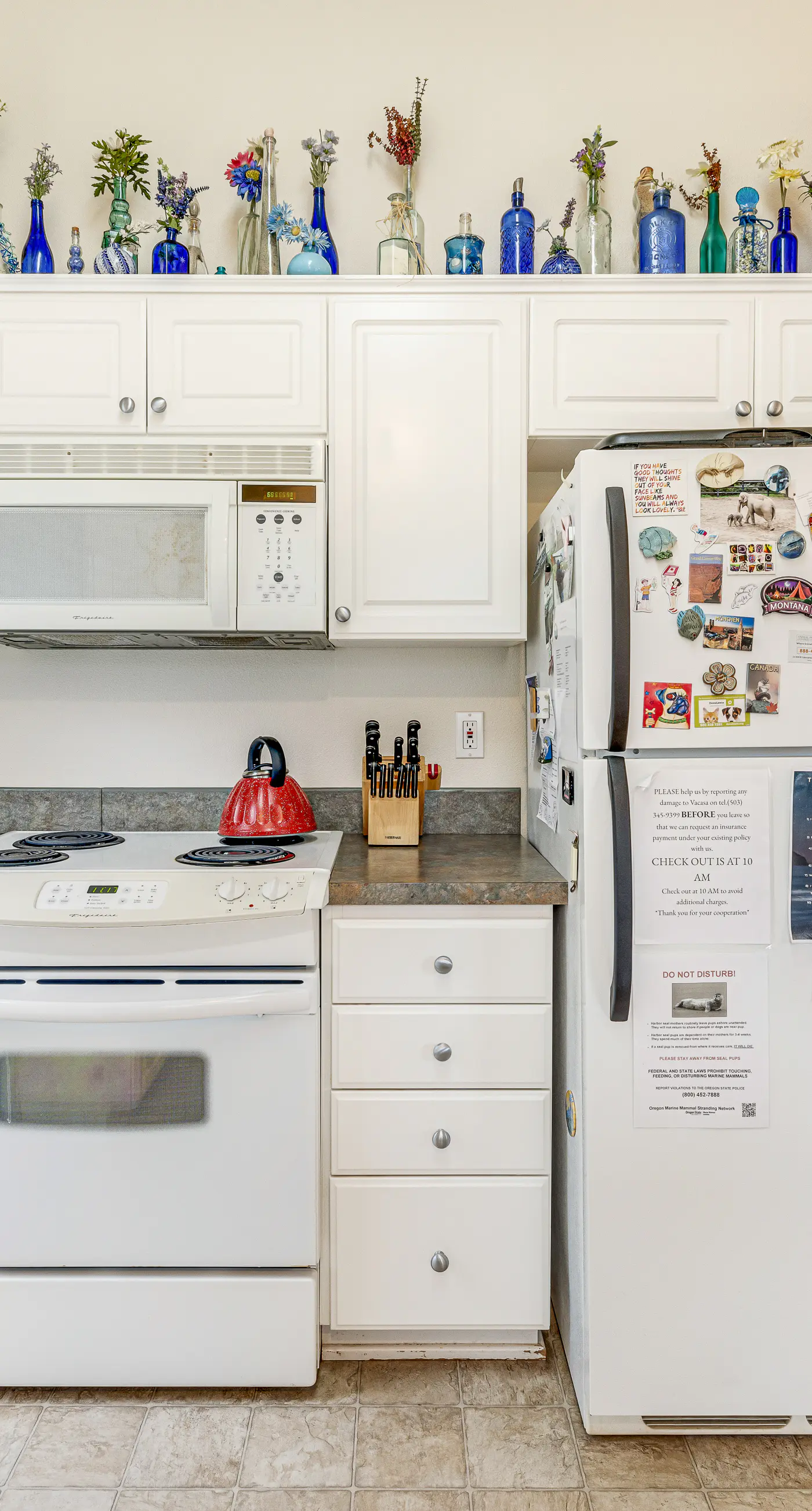 Dog Friendly Home Just a Half Mile Walk to the Beach and Heart of Town