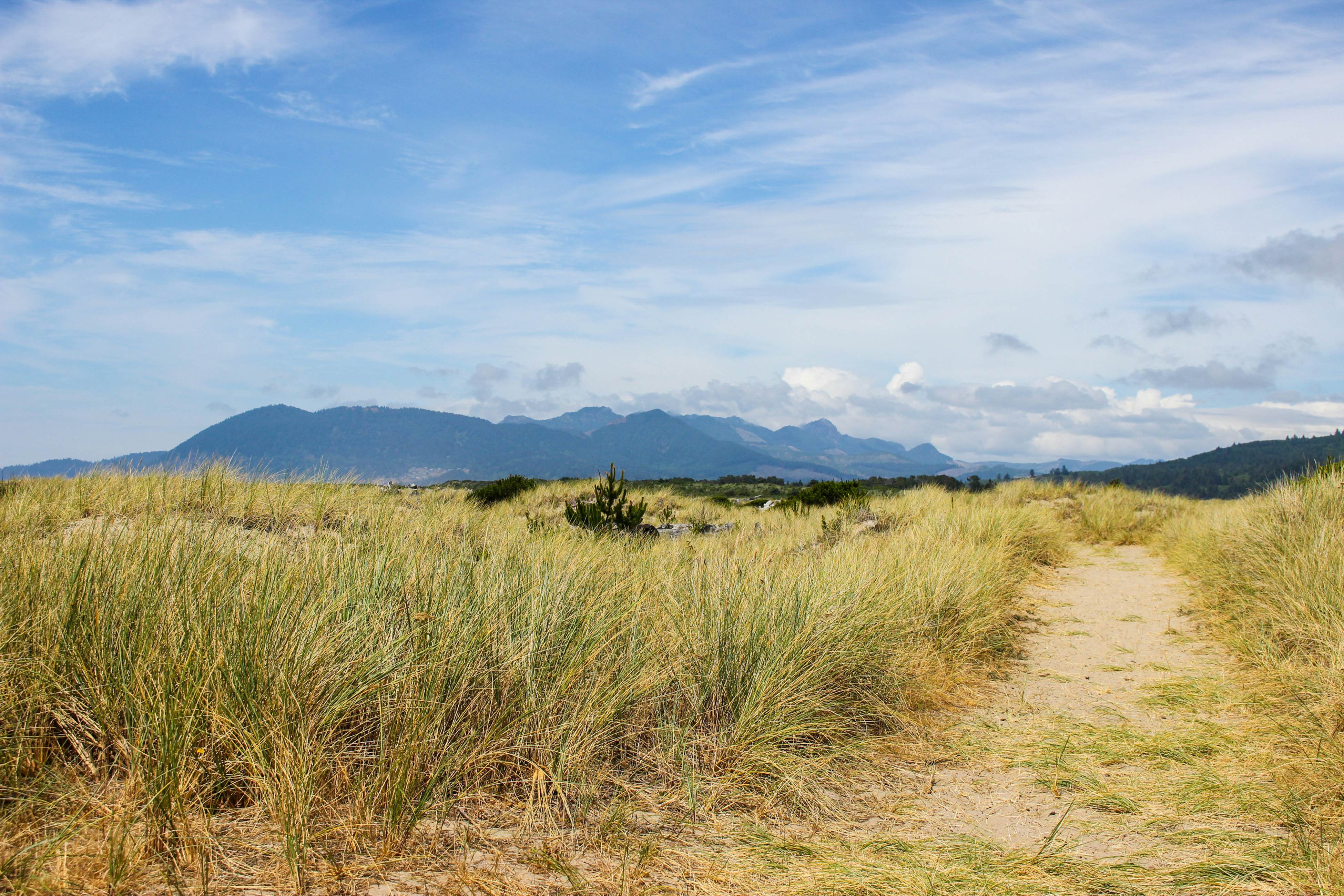 Dog-Friendly Home with Private Hot Tub & Game Room - Near the Beach & Nedonna Lake