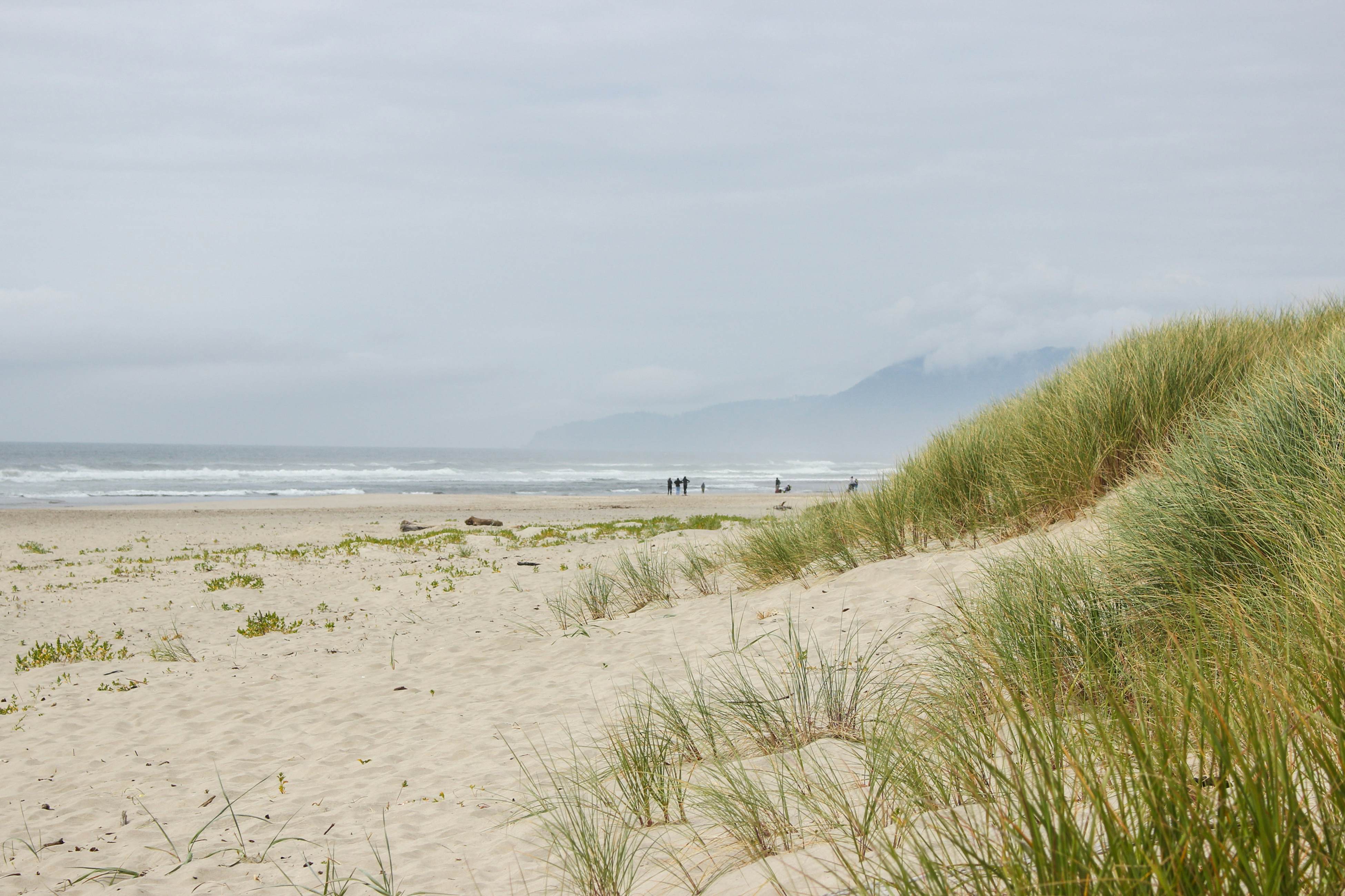 Dog-Friendly Home with Private Hot Tub & Game Room - Near the Beach & Nedonna Lake