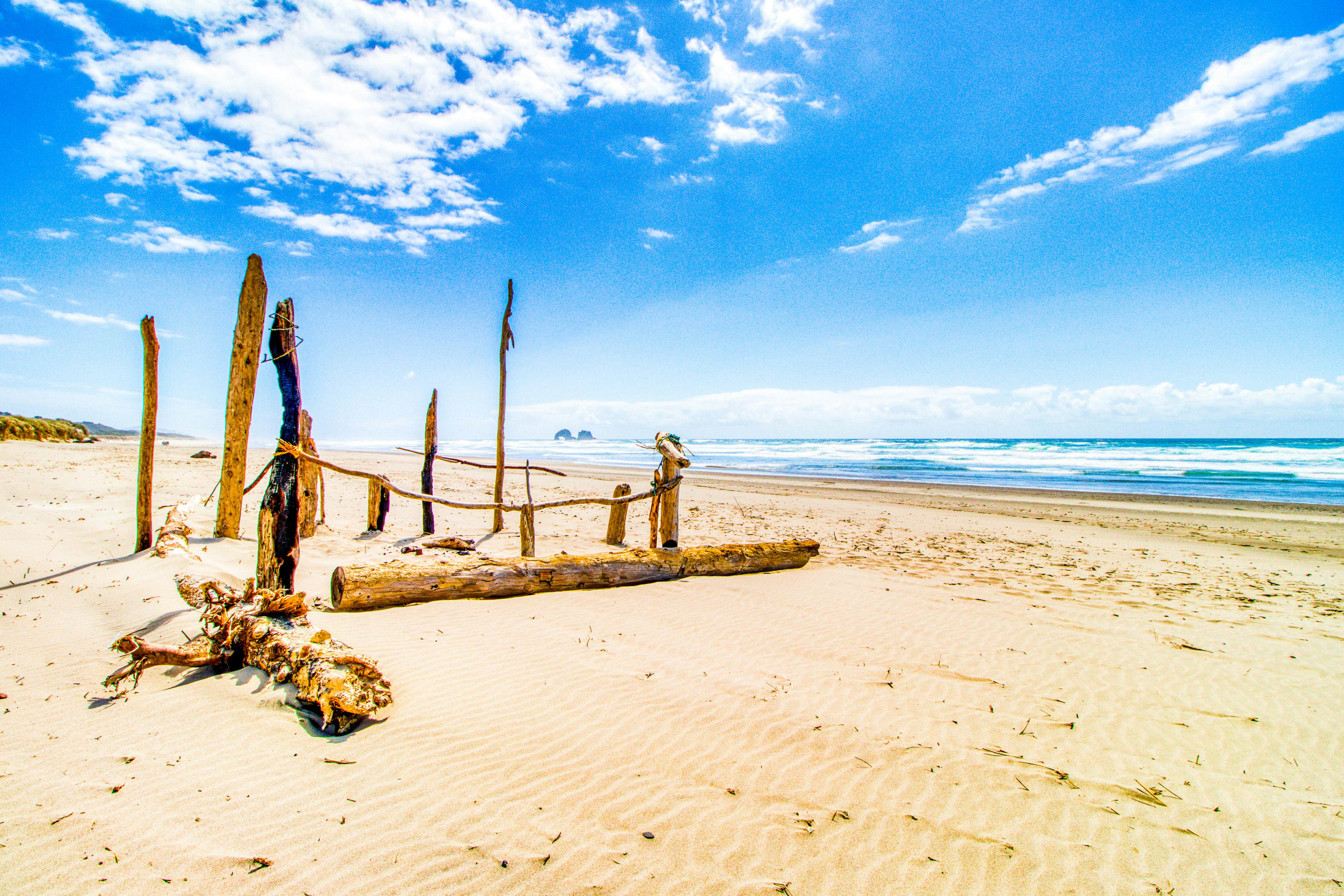 Dog-Friendly Room with Kitchen Located Near the Beach and Downtown