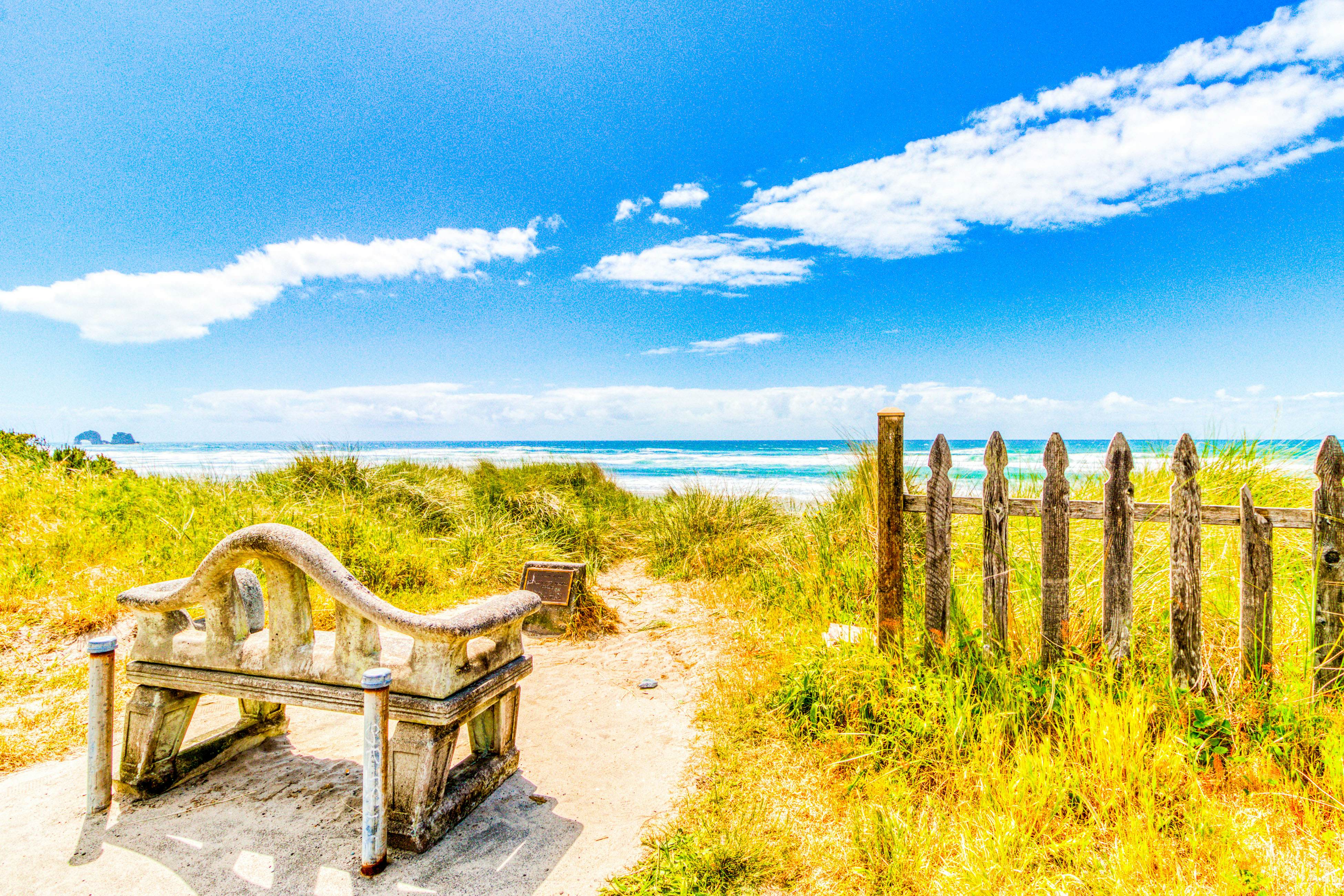 Dog-Friendly Room with Kitchen Located Near the Beach and Downtown