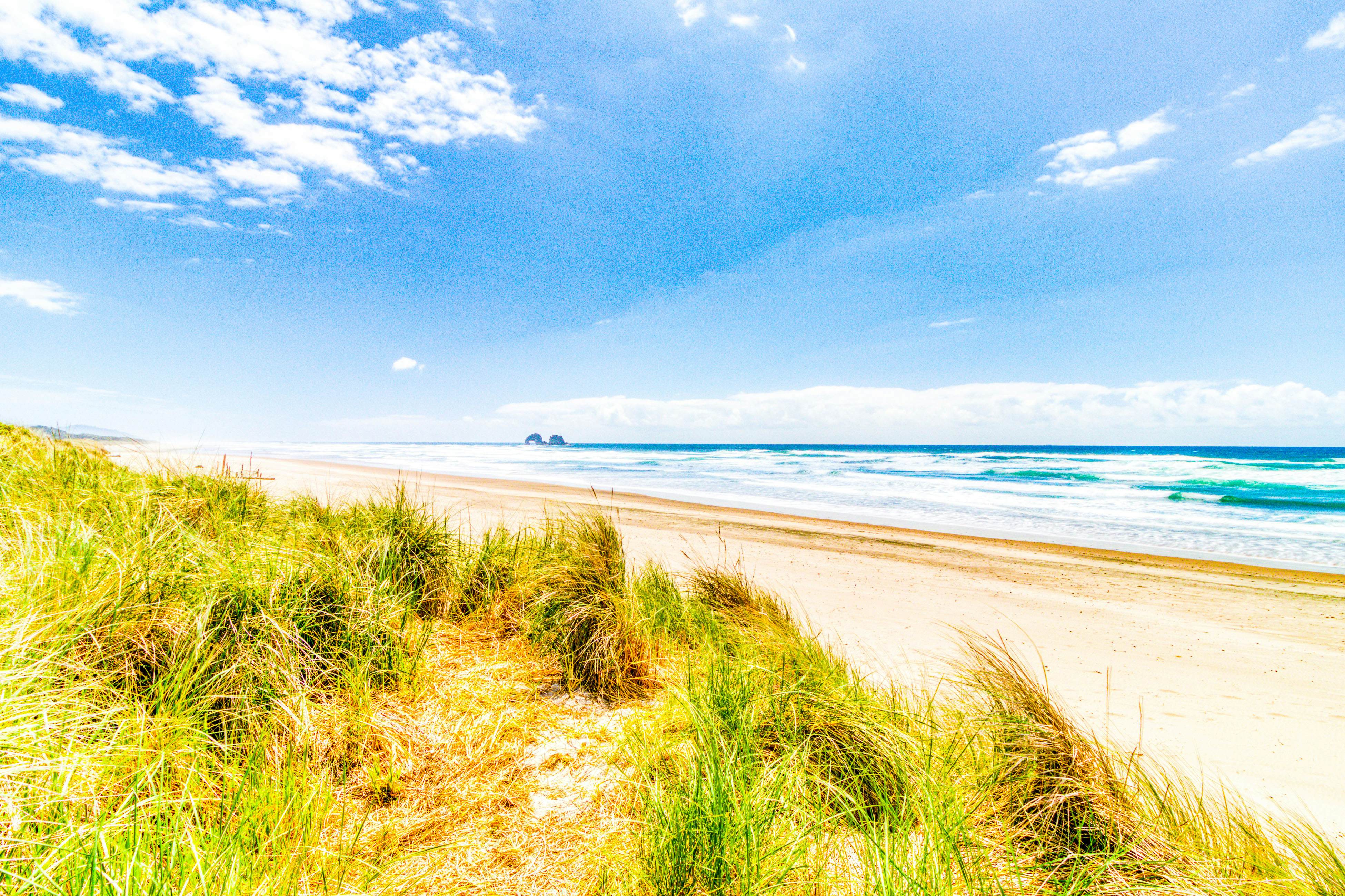 Dog-Friendly Room with Kitchen Located Near the Beach and Downtown