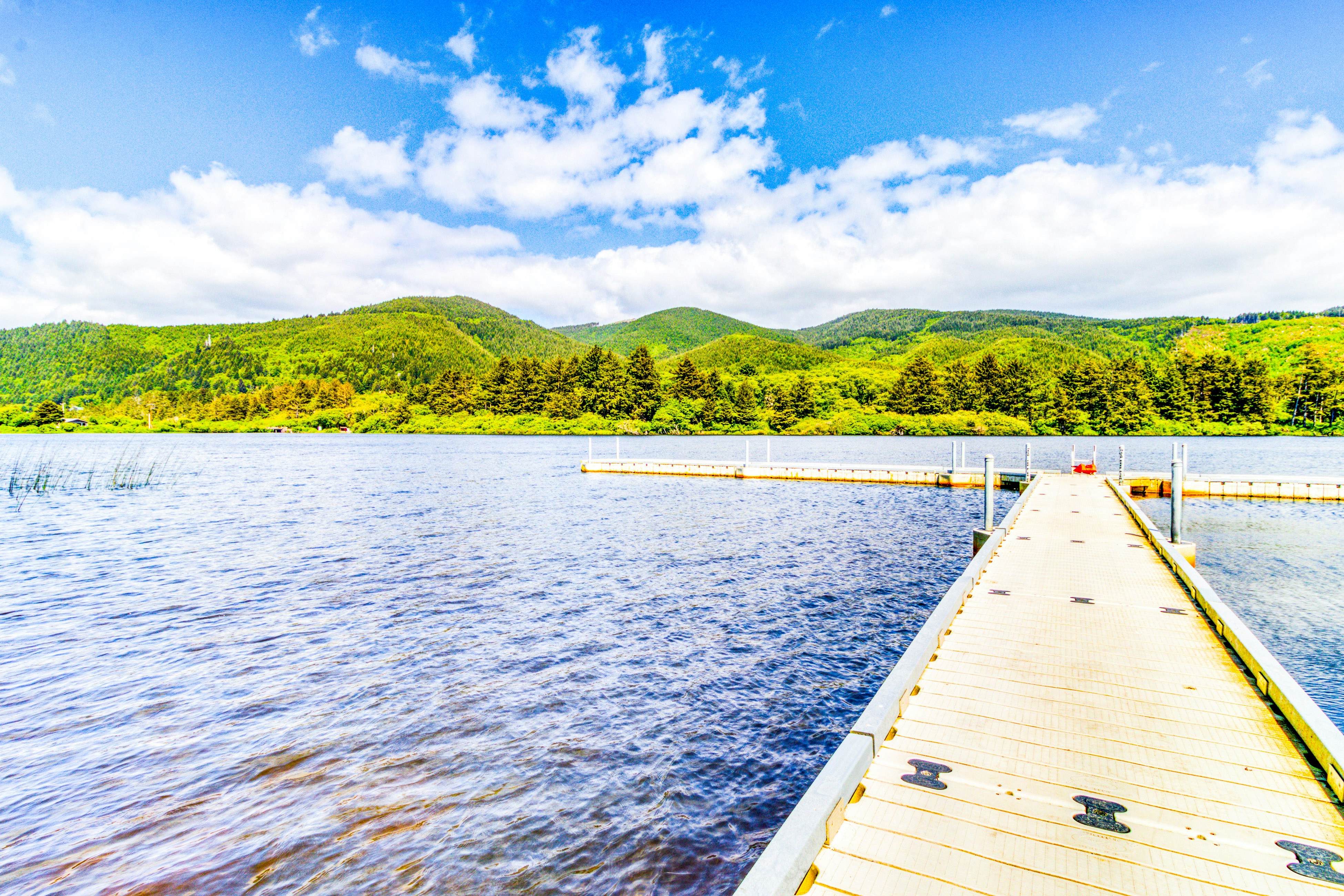 Dog-Friendly Room with Kitchen Located Near the Beach and Downtown