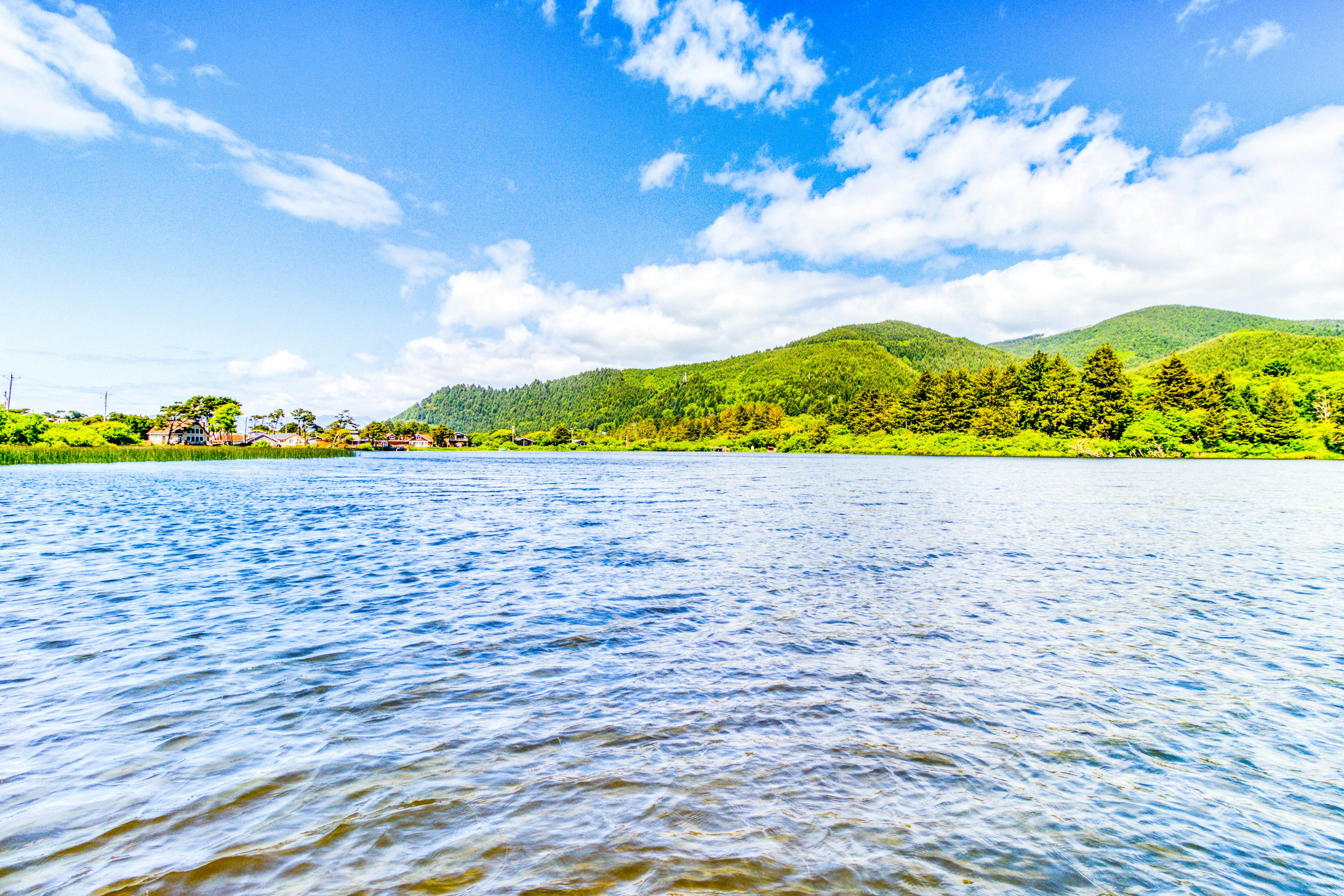 Dog-Friendly Room with Kitchen Located Near the Beach and Downtown