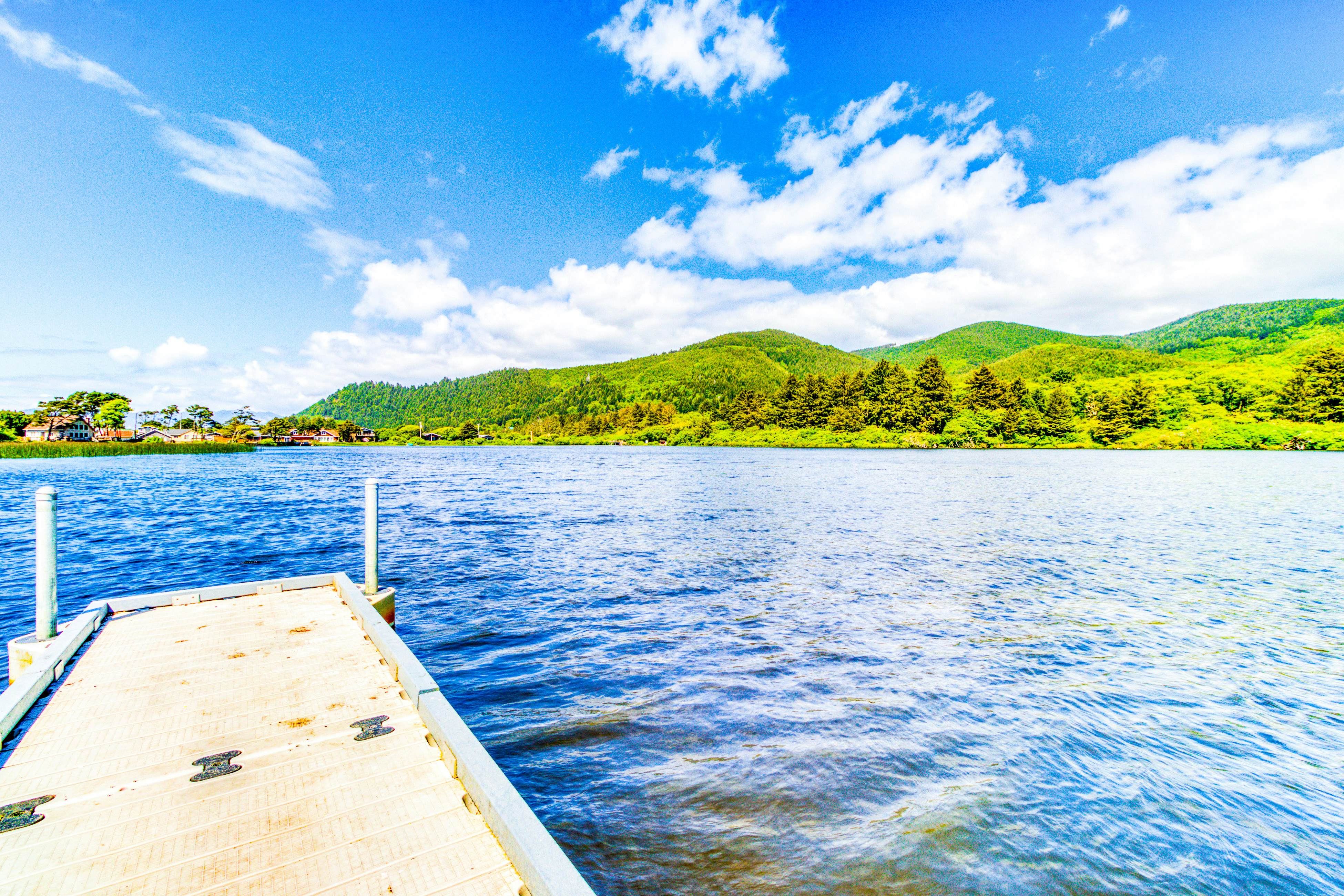 Dog-Friendly Room with Kitchen Located Near the Beach and Downtown