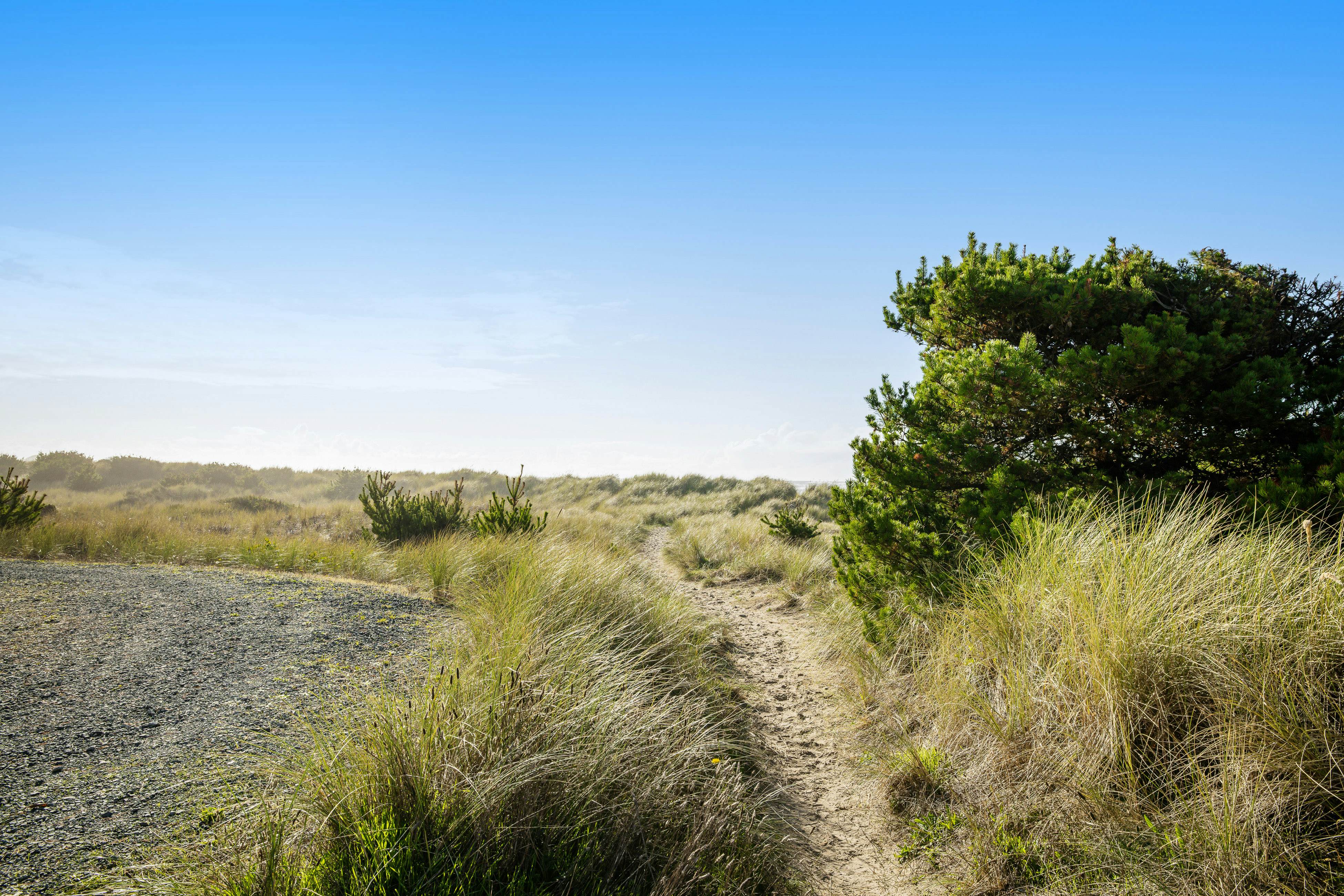 Oceanfront dog-friendly home with sunny deck, ocean view & washer/dryer