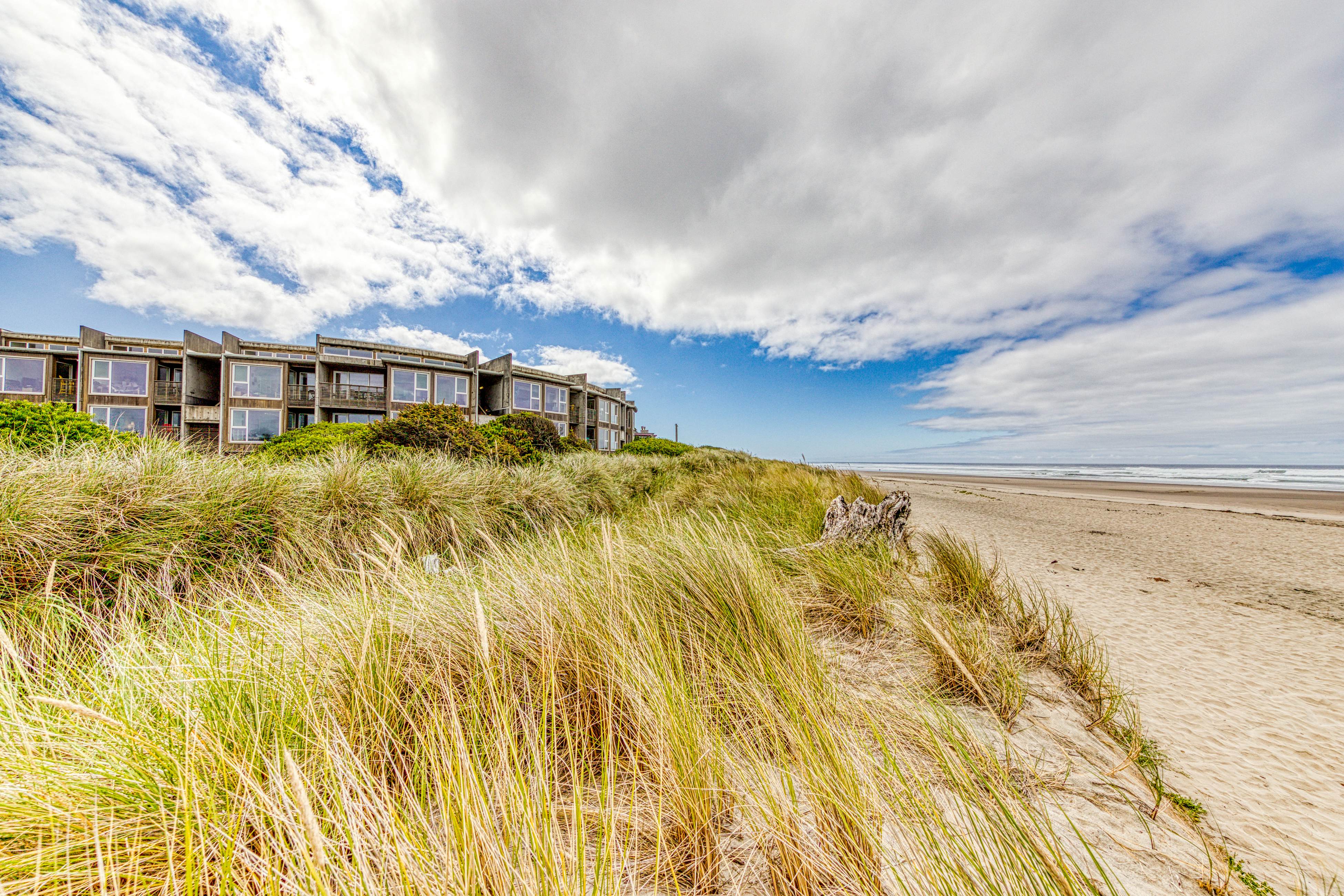 Elegant, oceanfront condo with deck & extraordinary views - dog-friendly