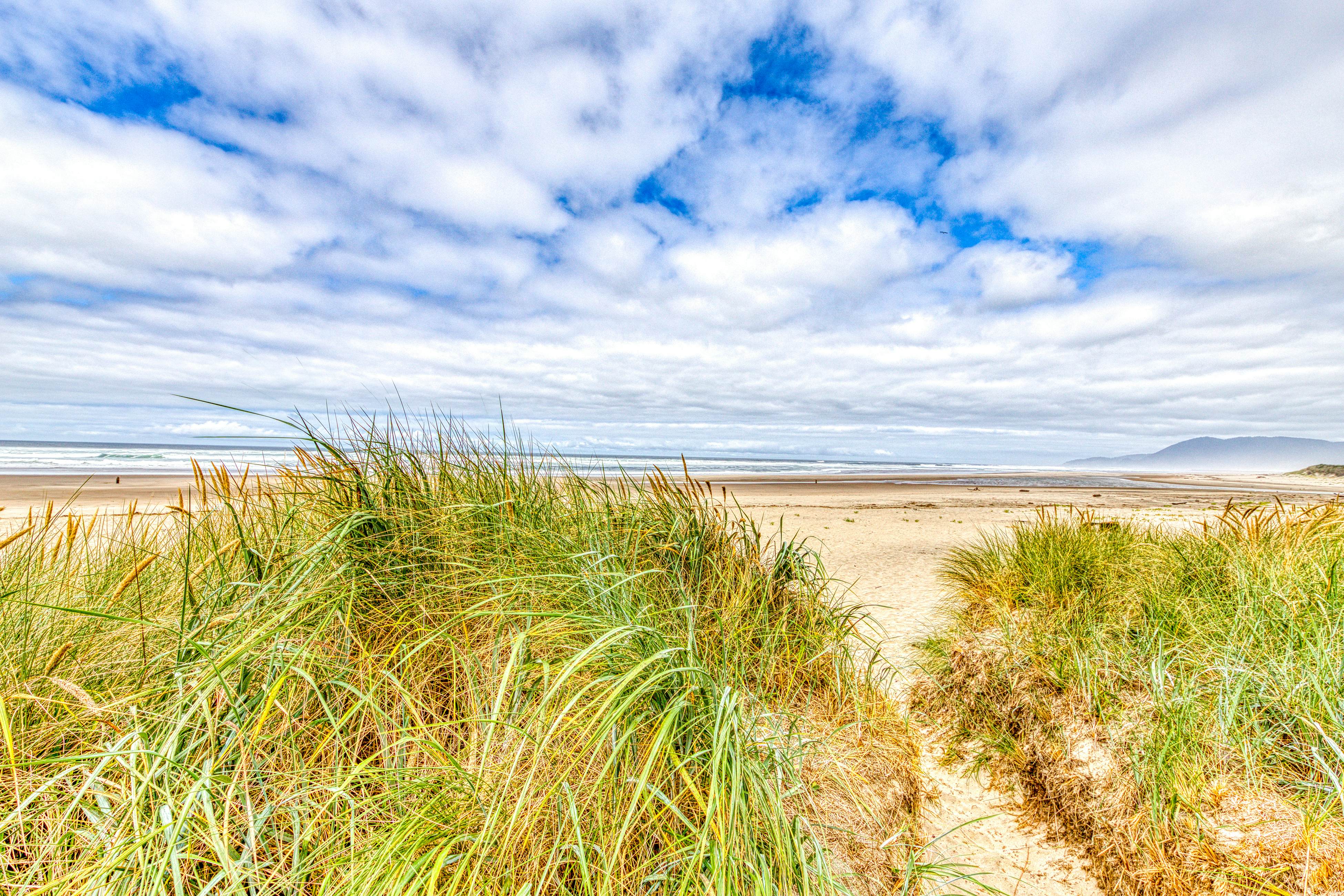 Elegant, oceanfront condo with deck & extraordinary views - dog-friendly