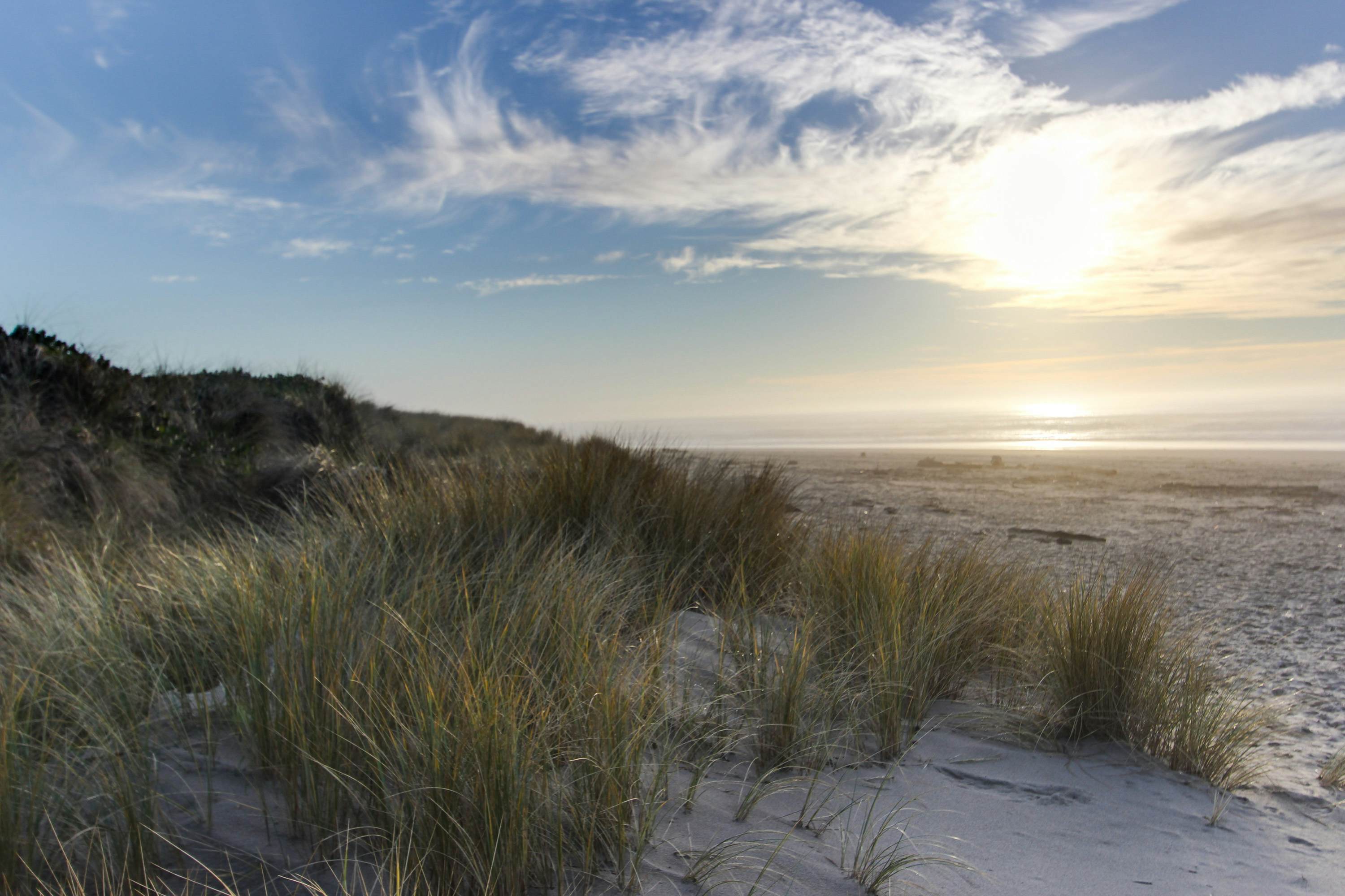 Contemporary oceanfront condo w/amazing views, dog-friendly