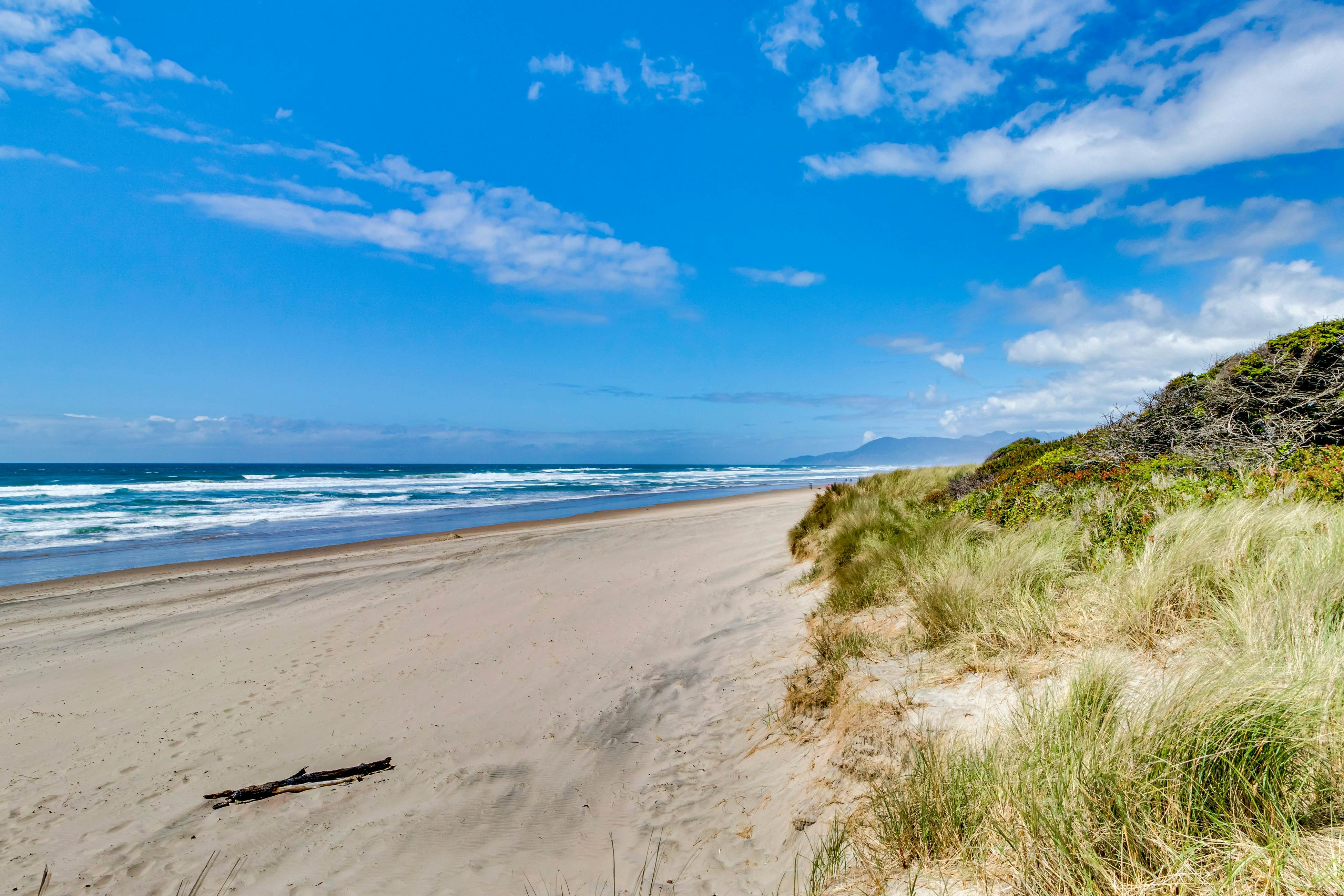 Modern Waterfront Condo - Right on the Pacific Ocean, Dogs Welcome