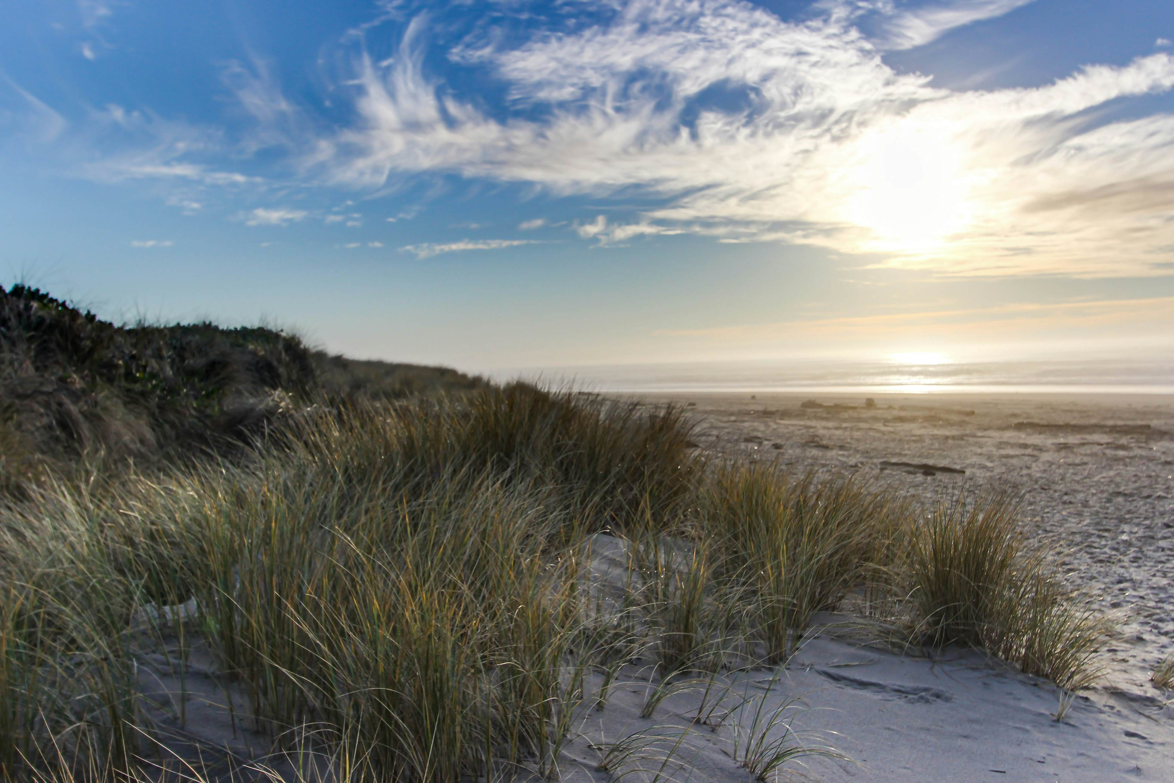 Modern Waterfront Condo - Right on the Pacific Ocean, Dogs Welcome