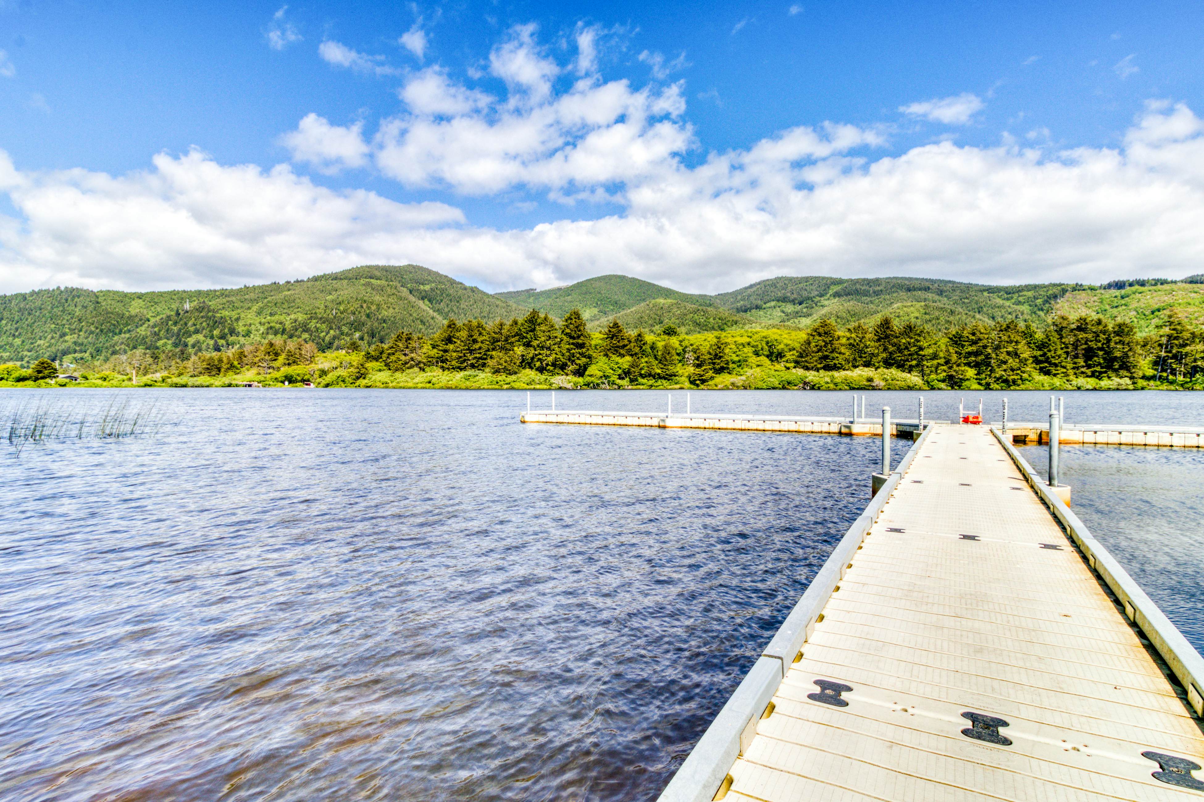 Four Dog-Friendly Rentals Near Beach Access - Ideal for Multi-Families