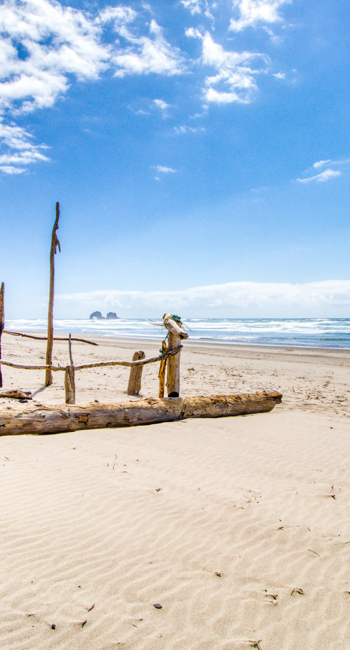 Dog Friendly Room Located Near the Beach and Downtown