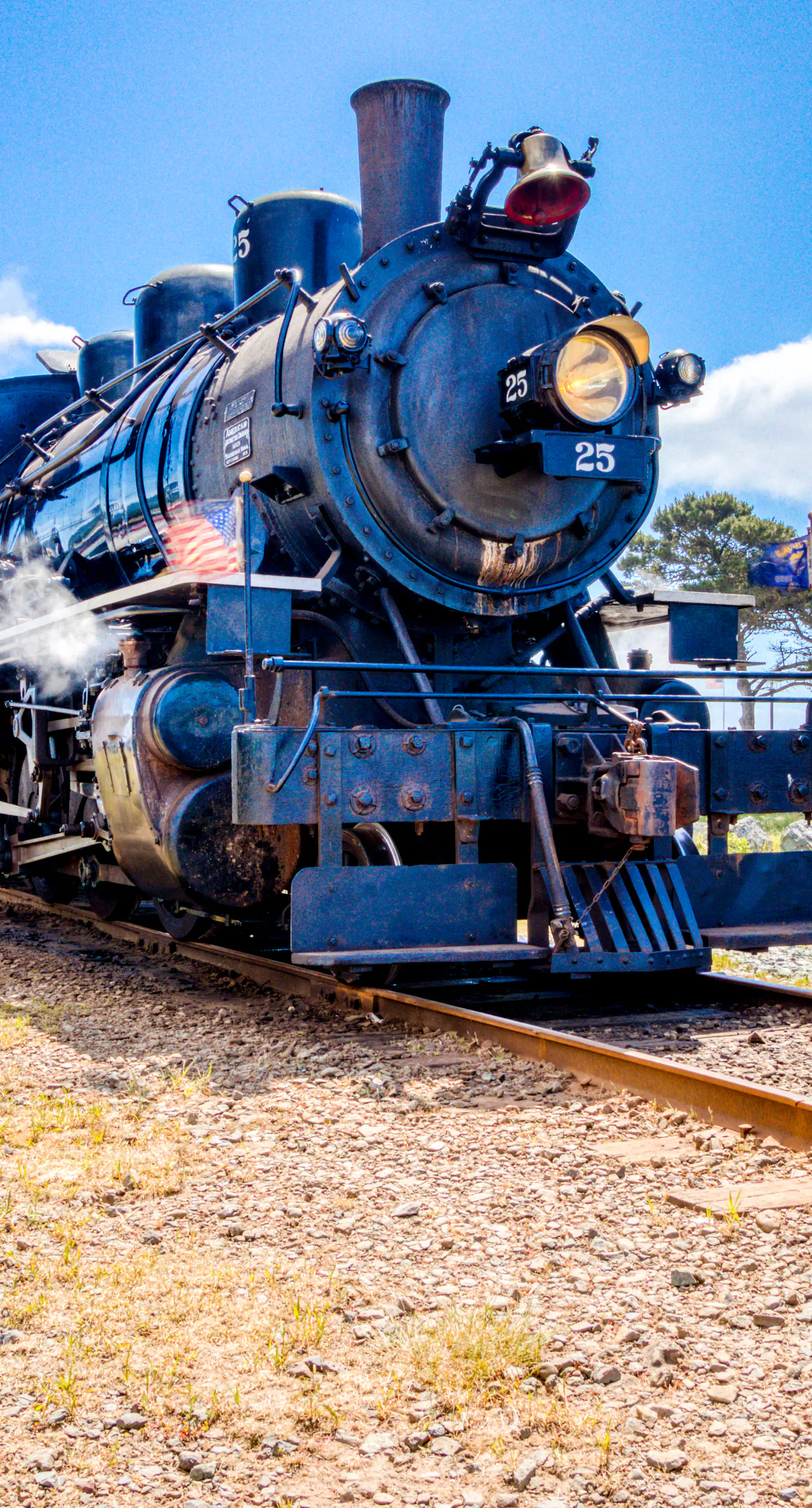 Dog Friendly Room Located Near the Beach and Downtown