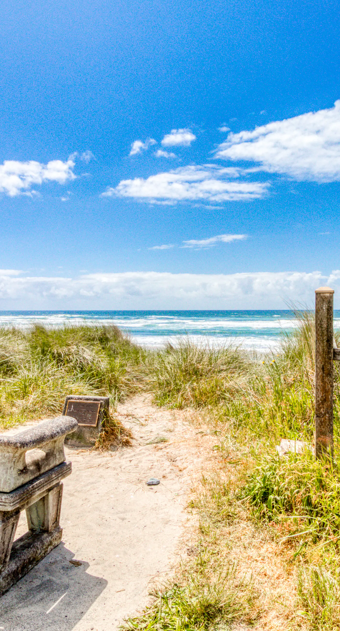 Dog Friendly Room Located Near the Beach and Downtown