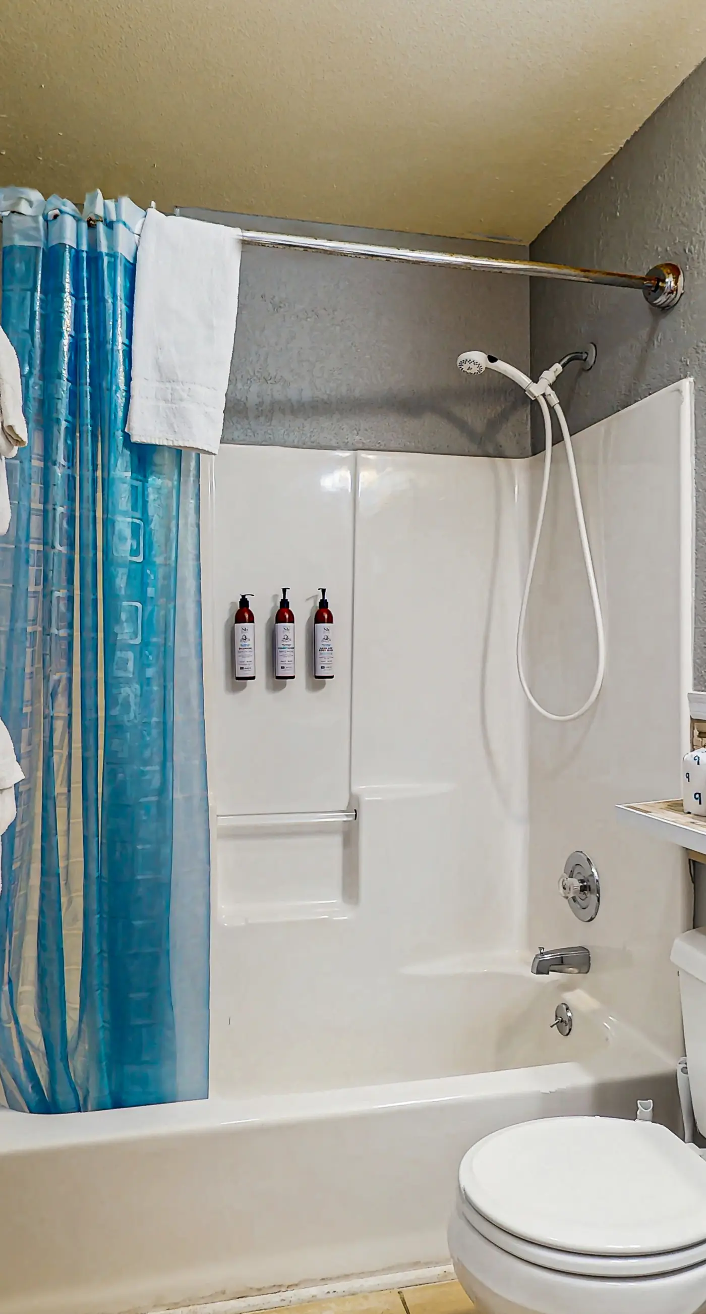 Dog Friendly Room Located Near the Beach and Downtown