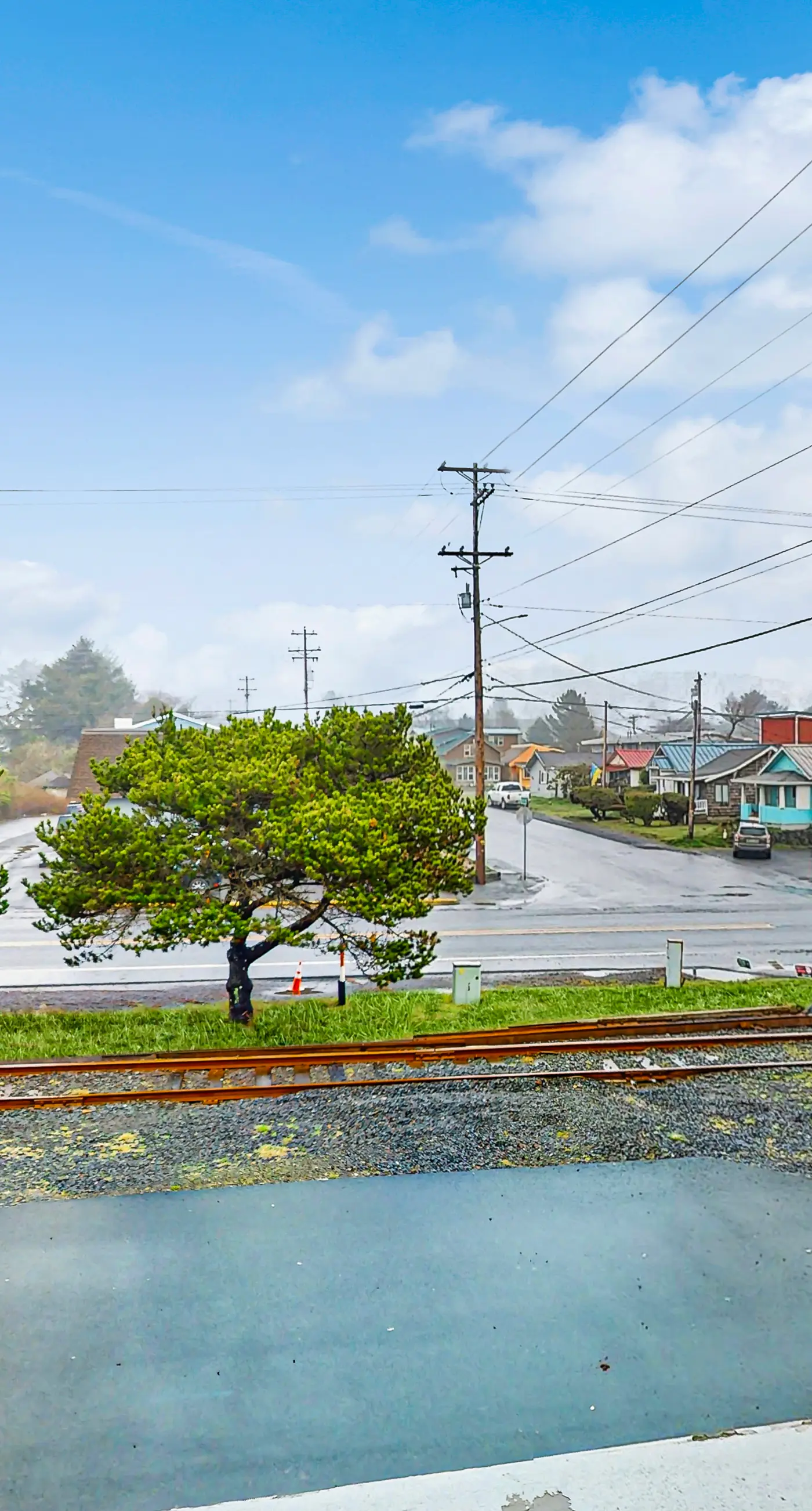 Dog Friendly Room Located Near the Beach and Downtown