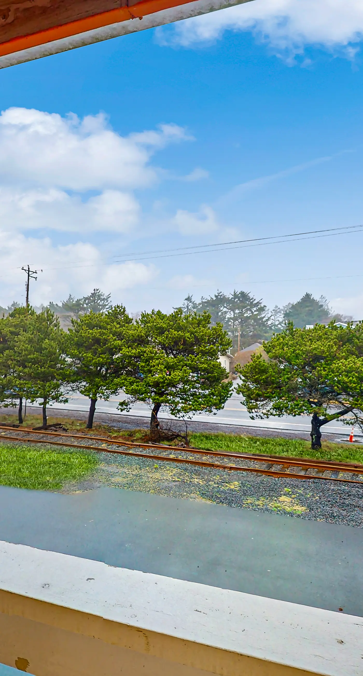 Dog Friendly Room Located Near the Beach and Downtown