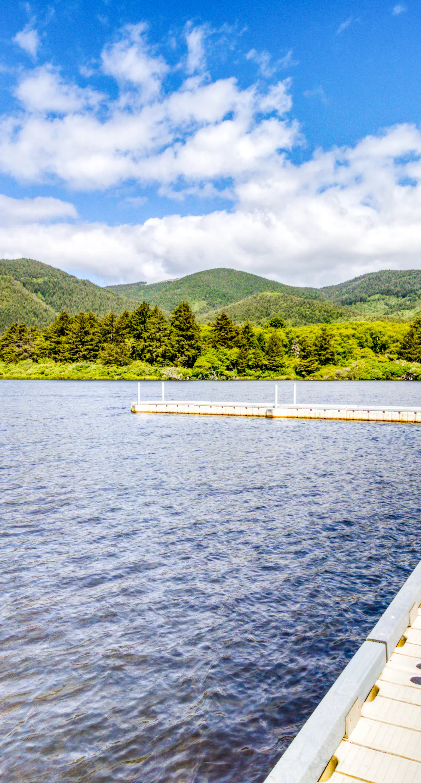 Dog Friendly Room Located Near the Beach and Downtown