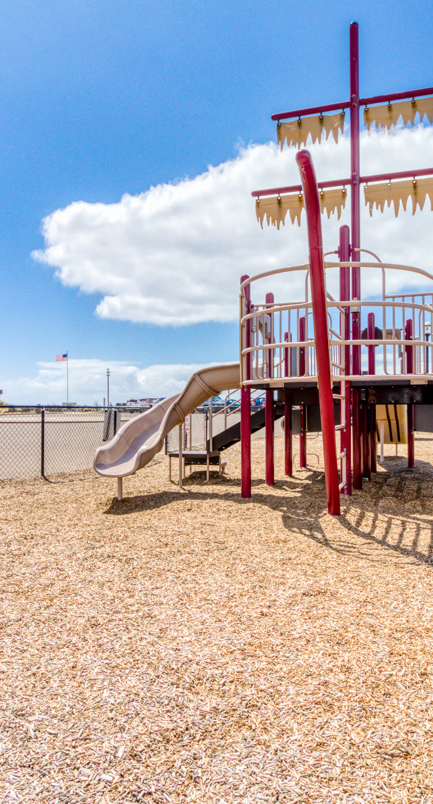 Dog Friendly Room Located Near the Beach and Downtown