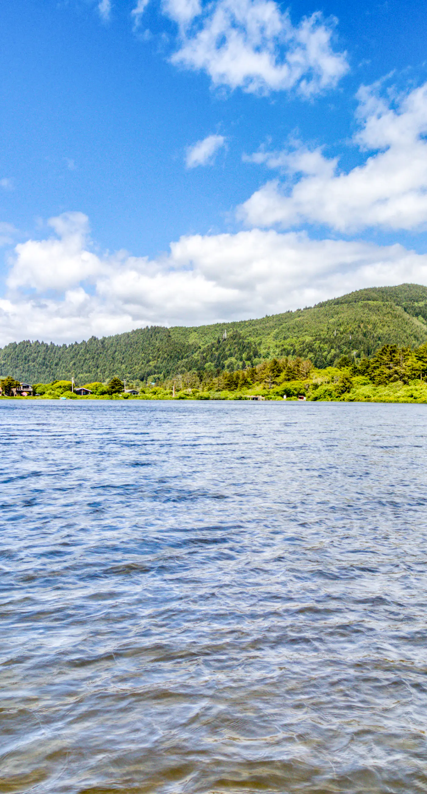 Dog Friendly Room Located Near the Beach and Downtown